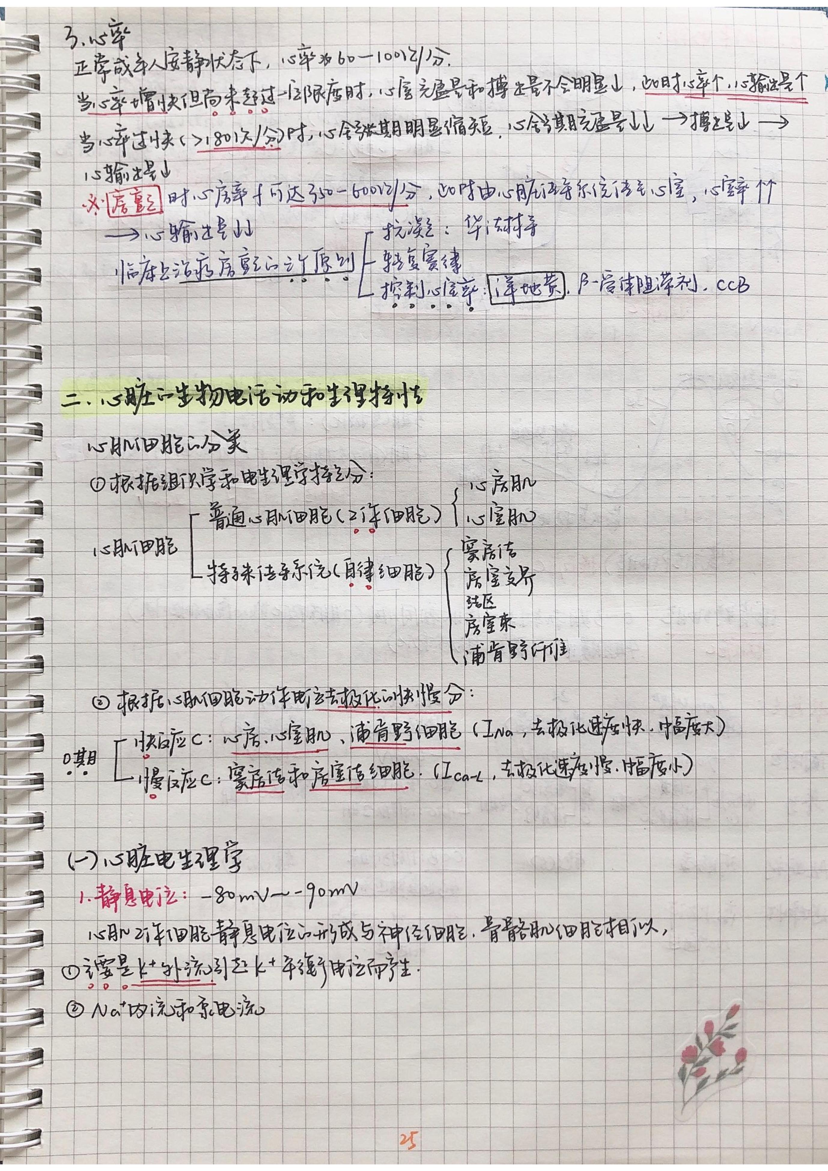 生理学笔记手写.pdf_第24页