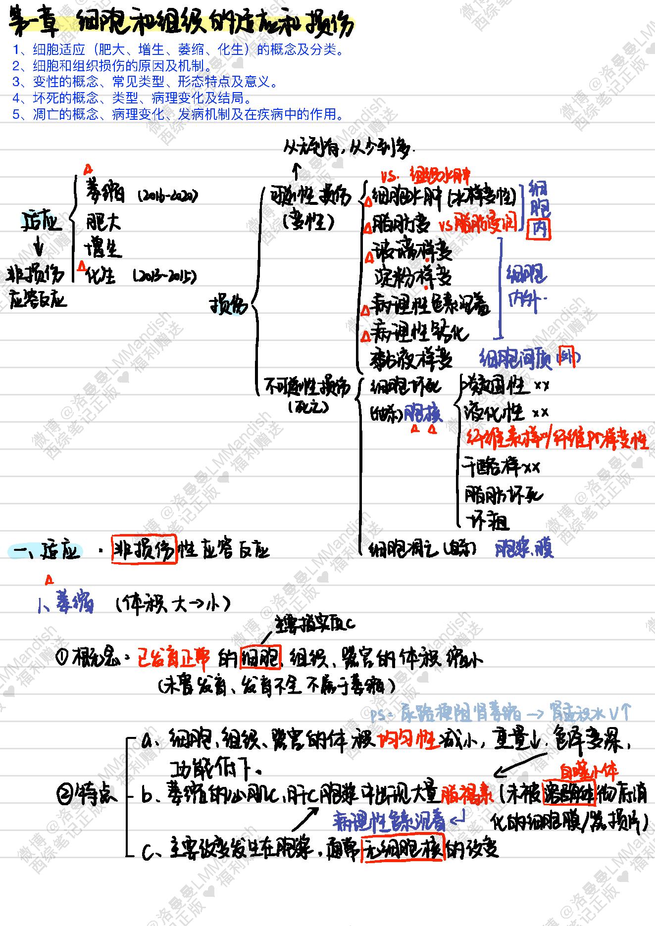 病理_西综笔记福利@洛曼曼LMMandish.pdf_第3页