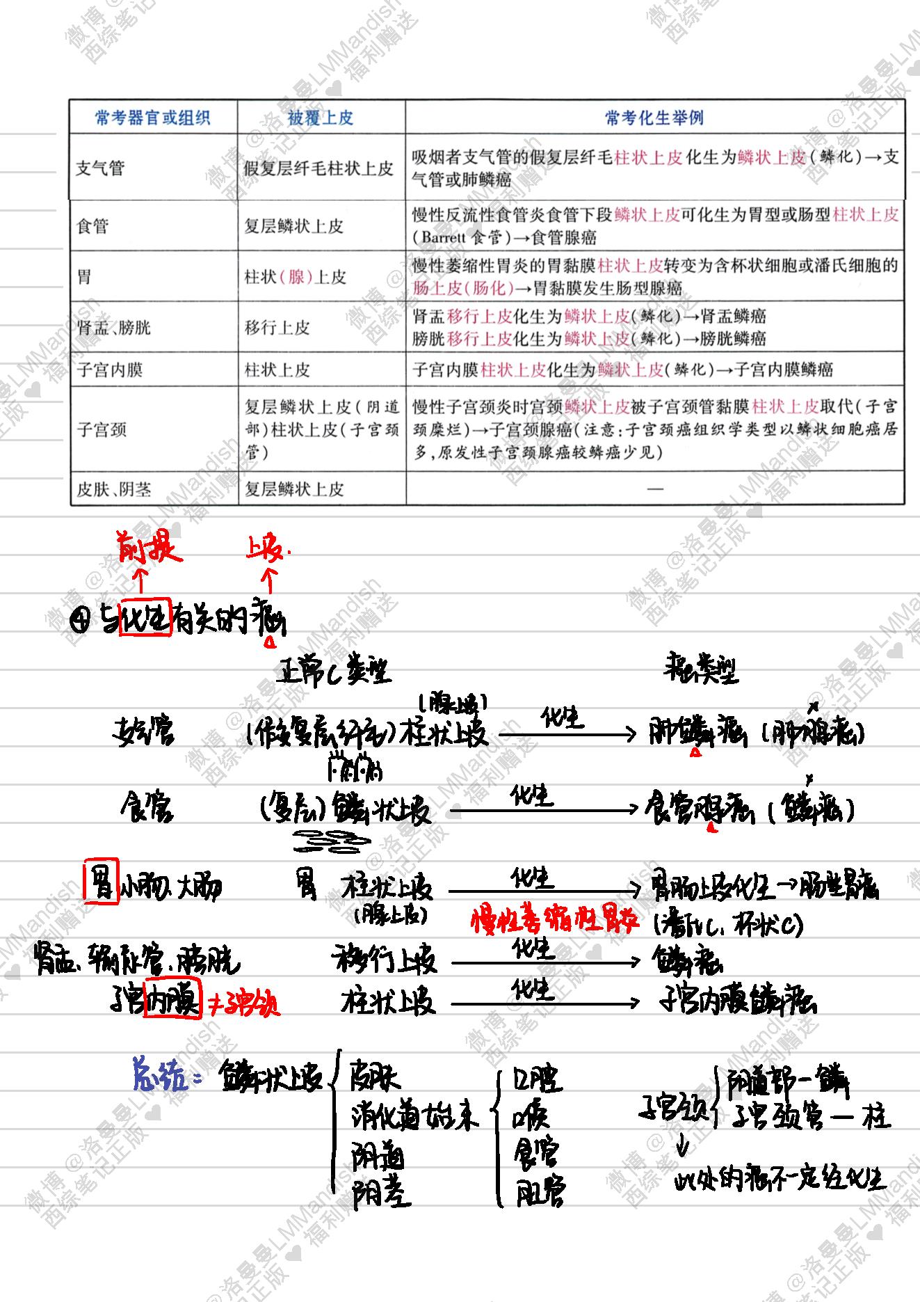 病理_西综笔记福利@洛曼曼LMMandish.pdf_第6页