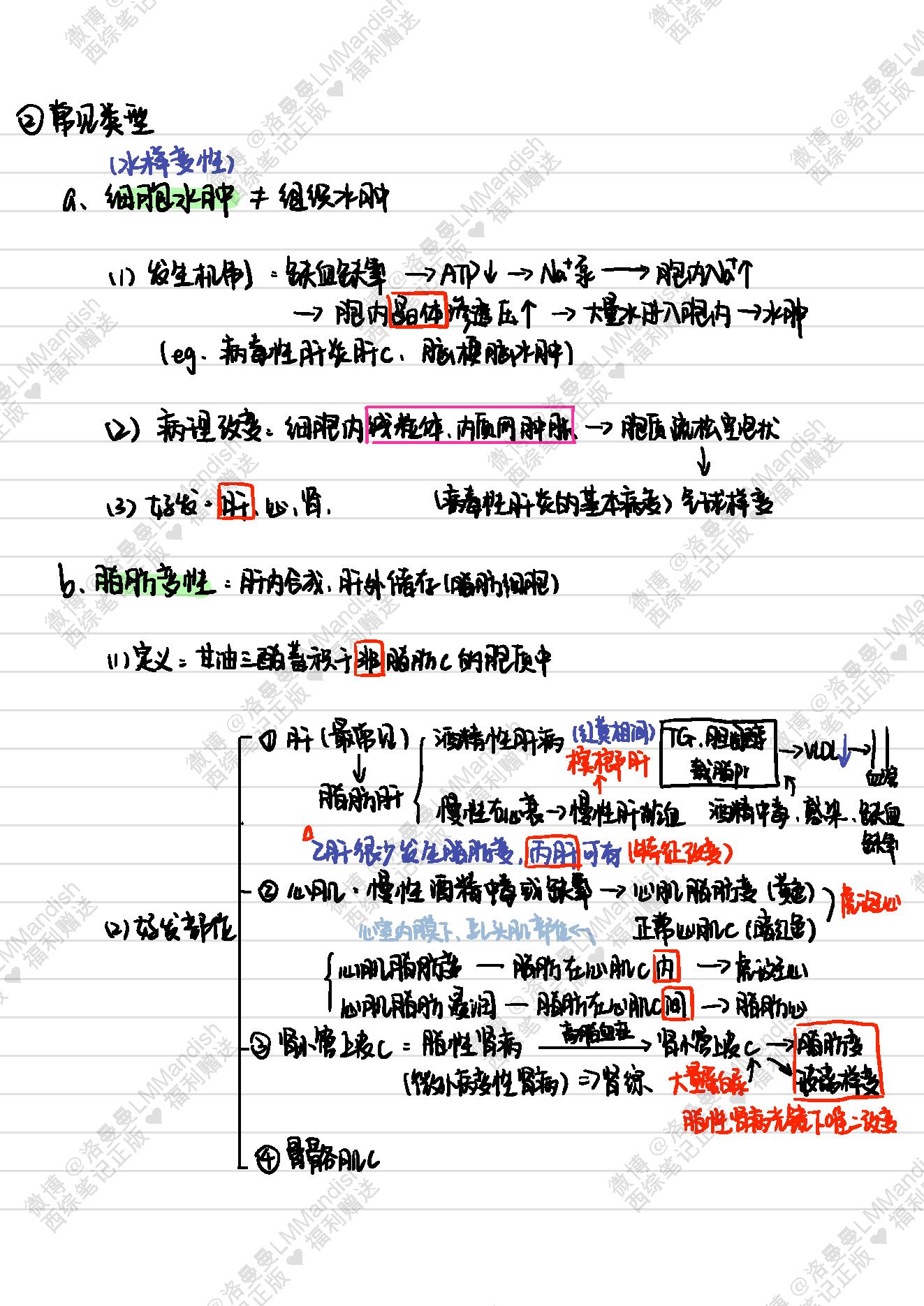 病理_西综笔记福利@洛曼曼LMMandish.pdf_第8页