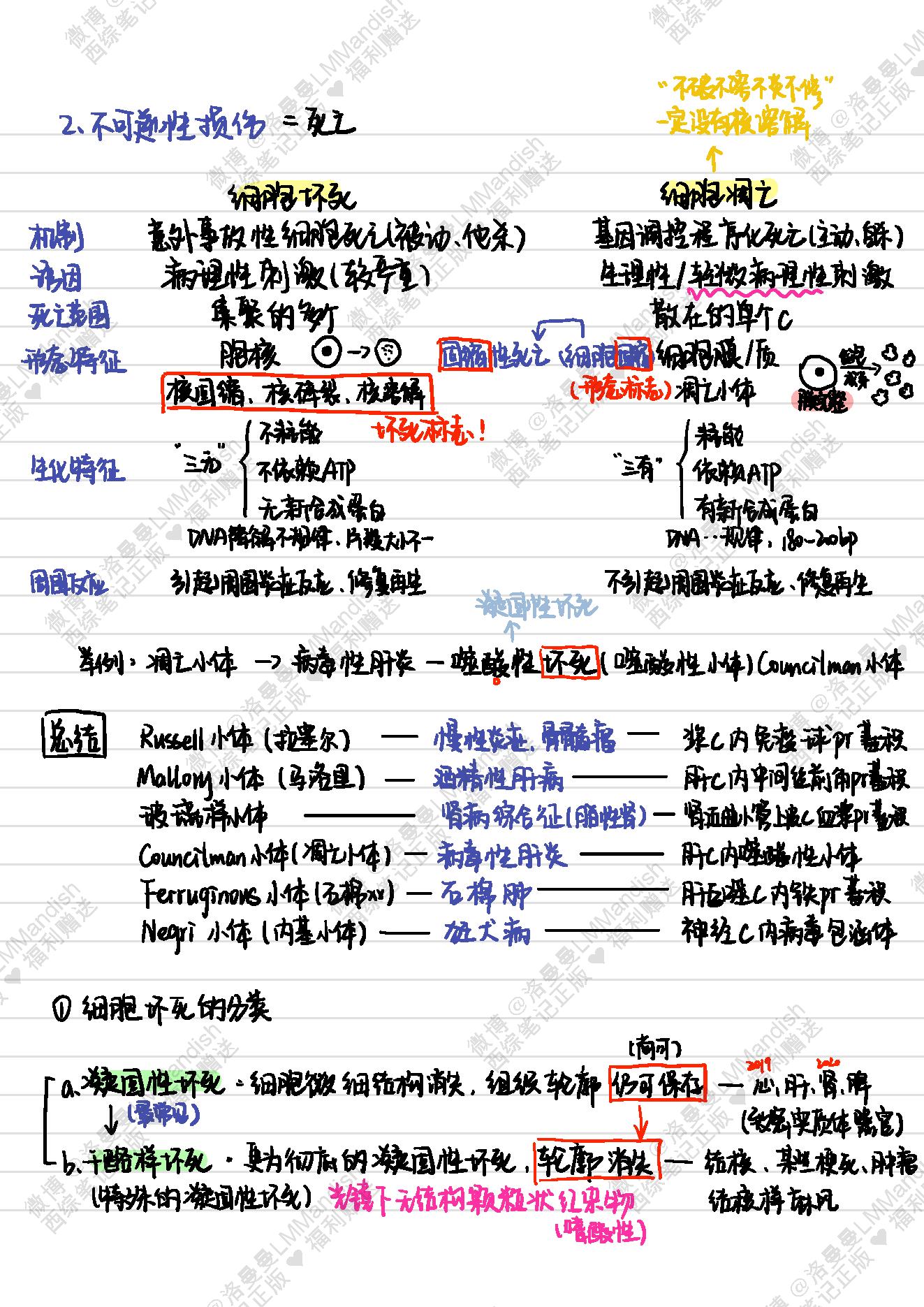 病理_西综笔记福利@洛曼曼LMMandish.pdf_第12页