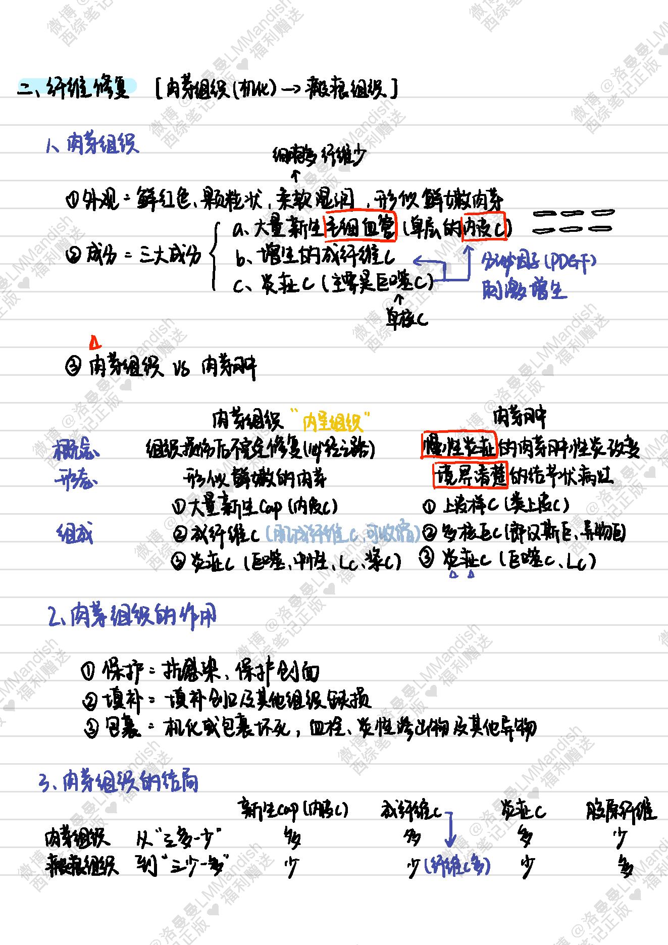 病理_西综笔记福利@洛曼曼LMMandish.pdf_第17页