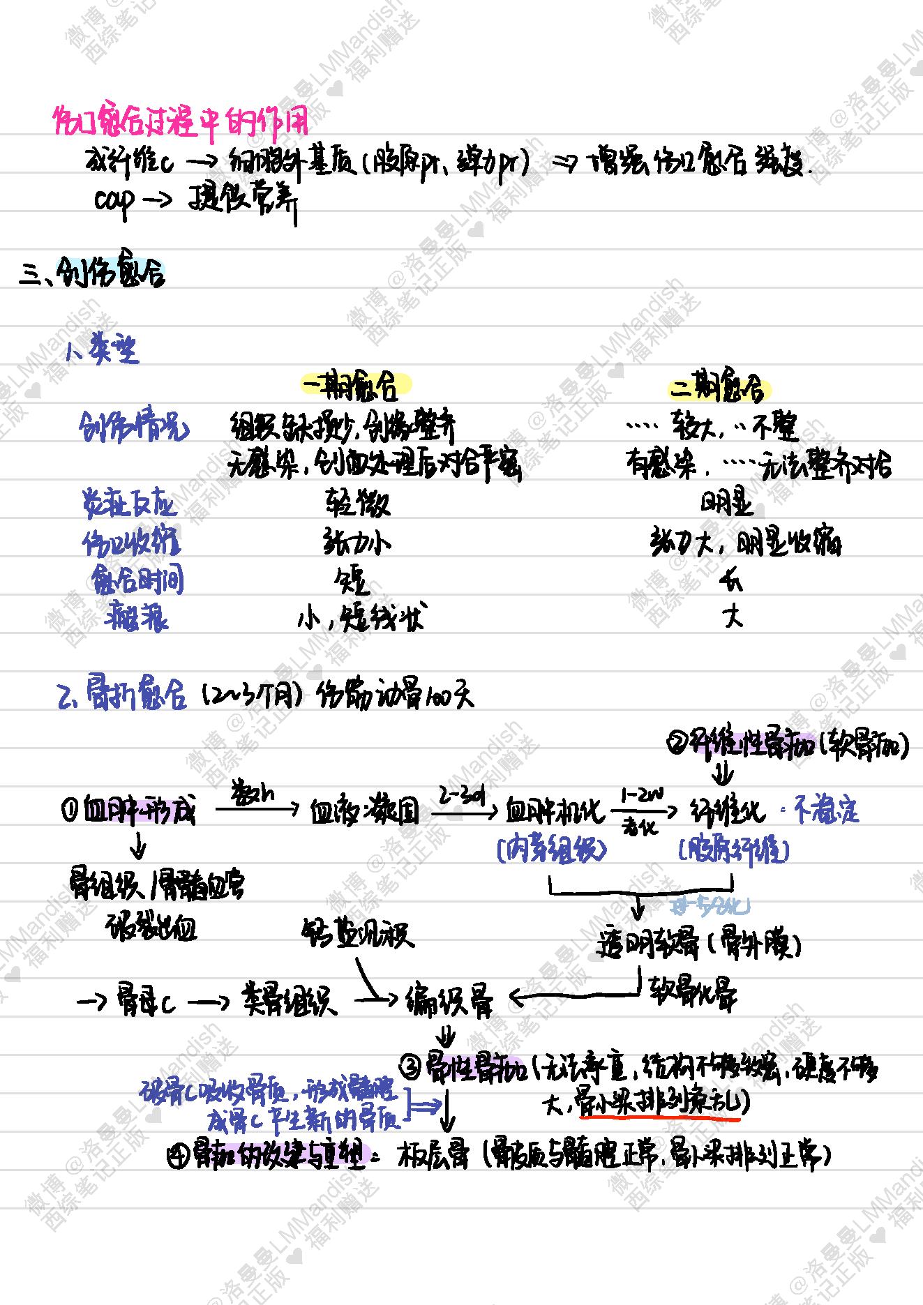 病理_西综笔记福利@洛曼曼LMMandish.pdf_第18页