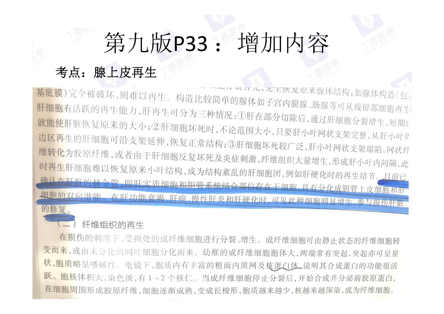 病理学.pdf_第4页