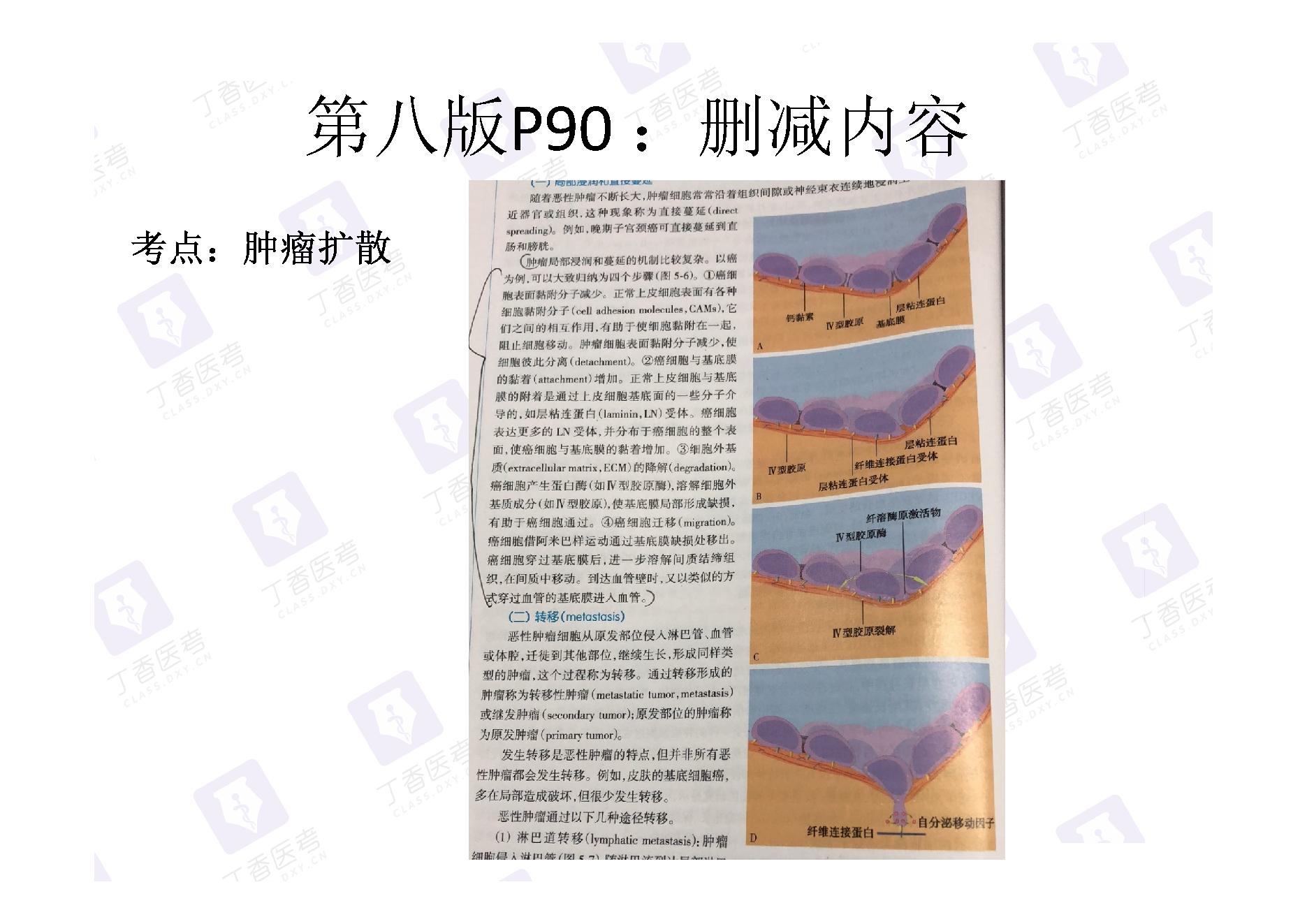 病理学.pdf_第14页