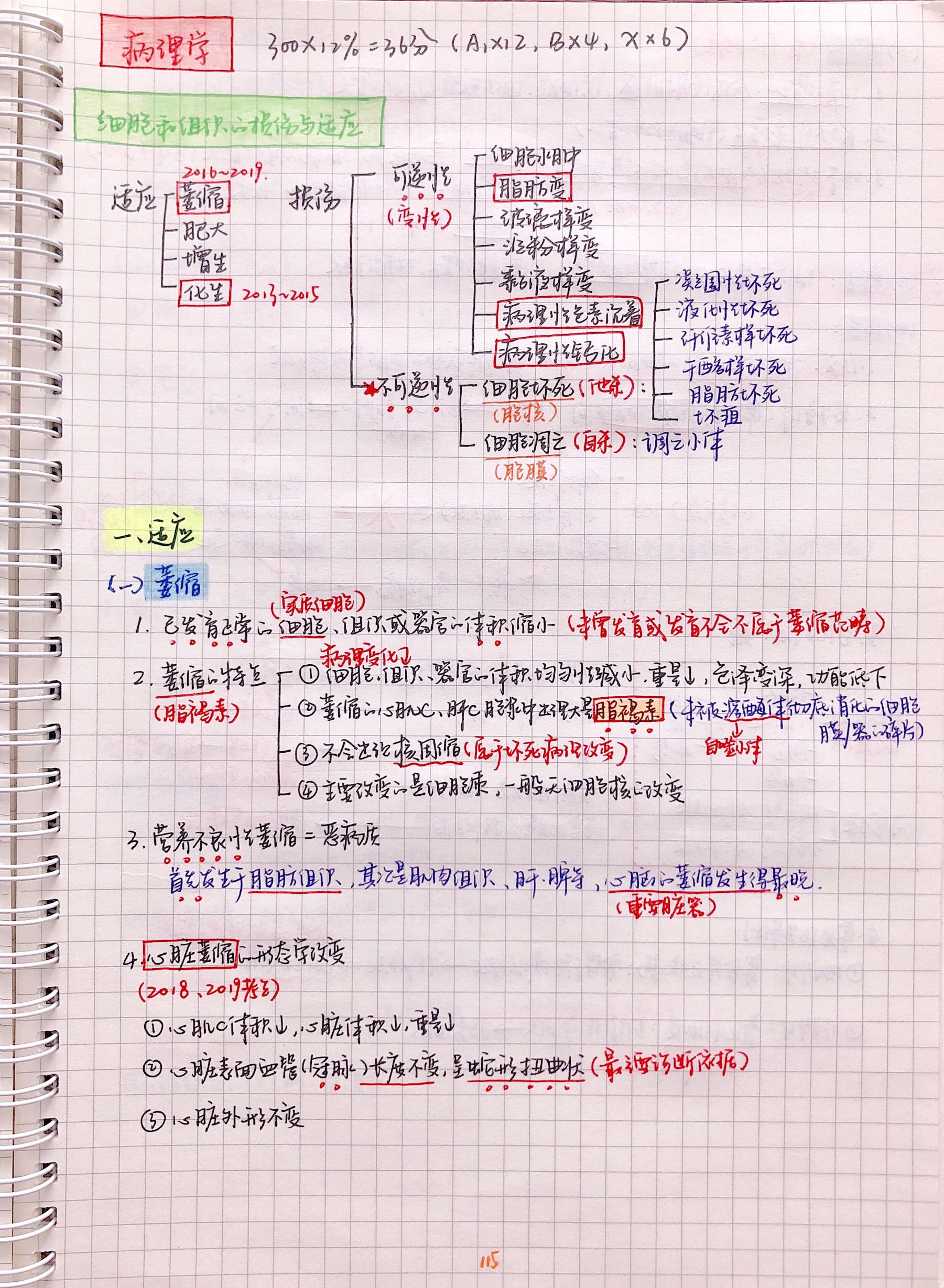 病理手写笔记.pdf_第1页