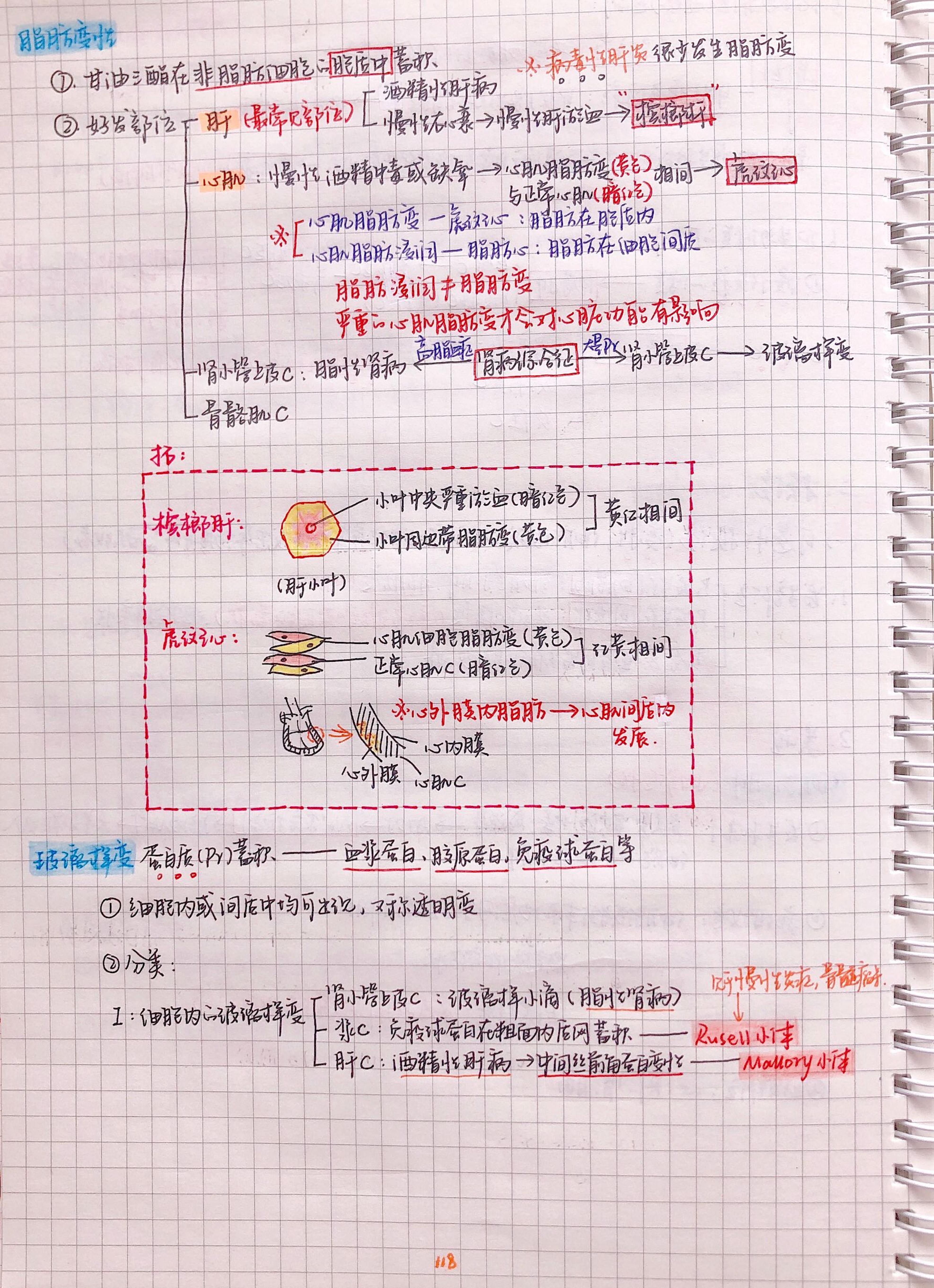 病理手写笔记.pdf_第4页