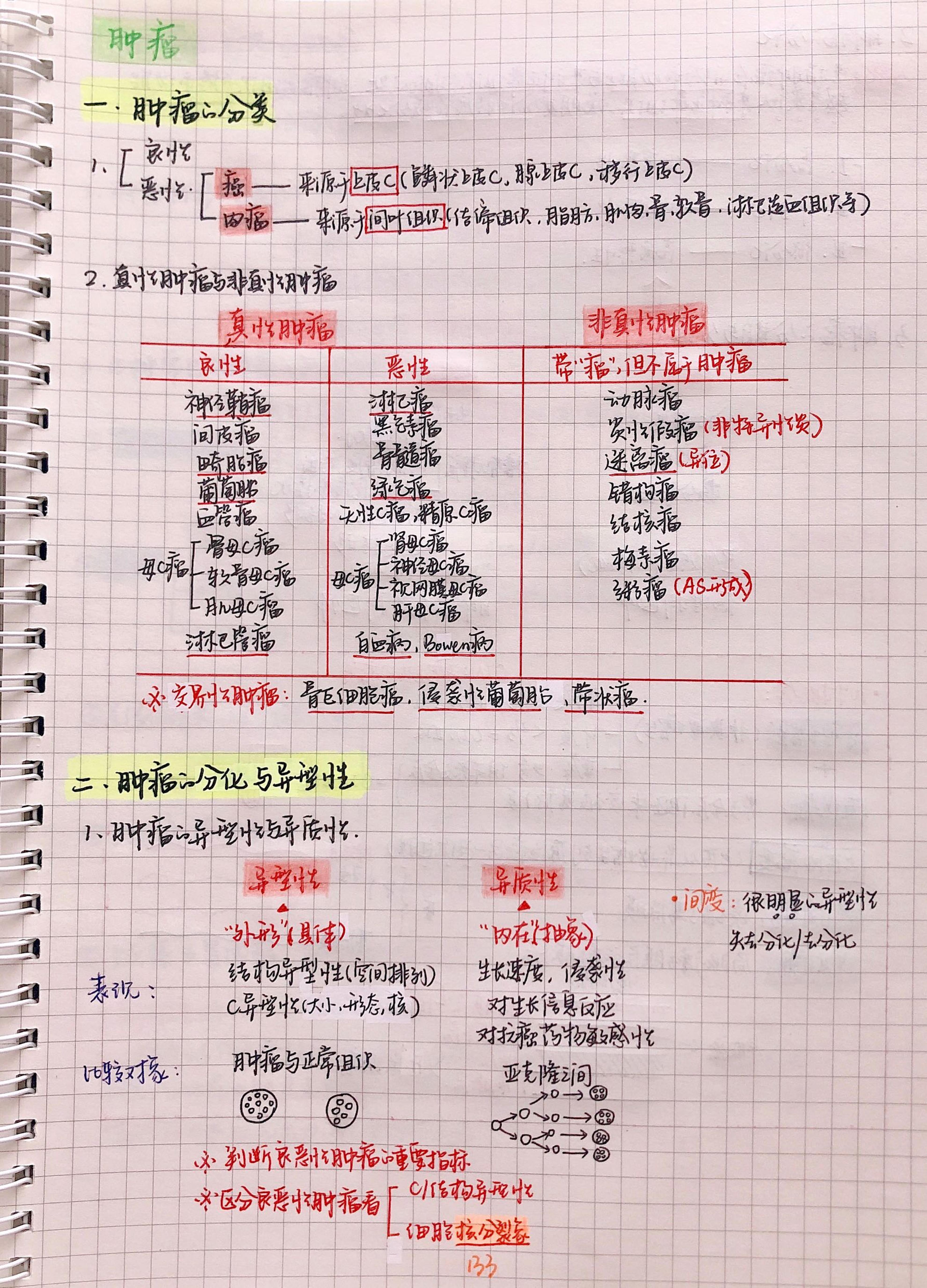 病理手写笔记.pdf_第19页