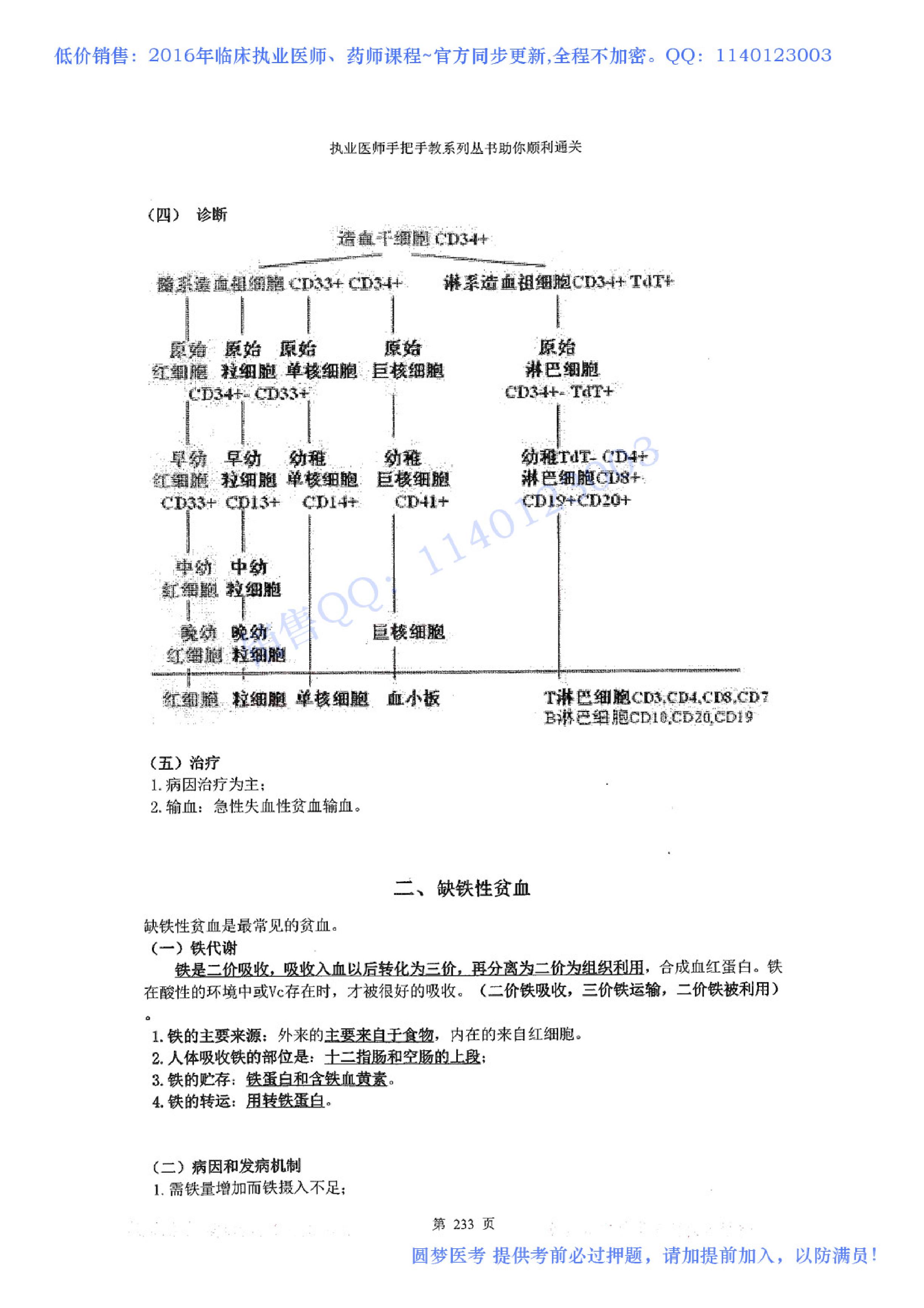 第08章 血液系统.pdf_第2页