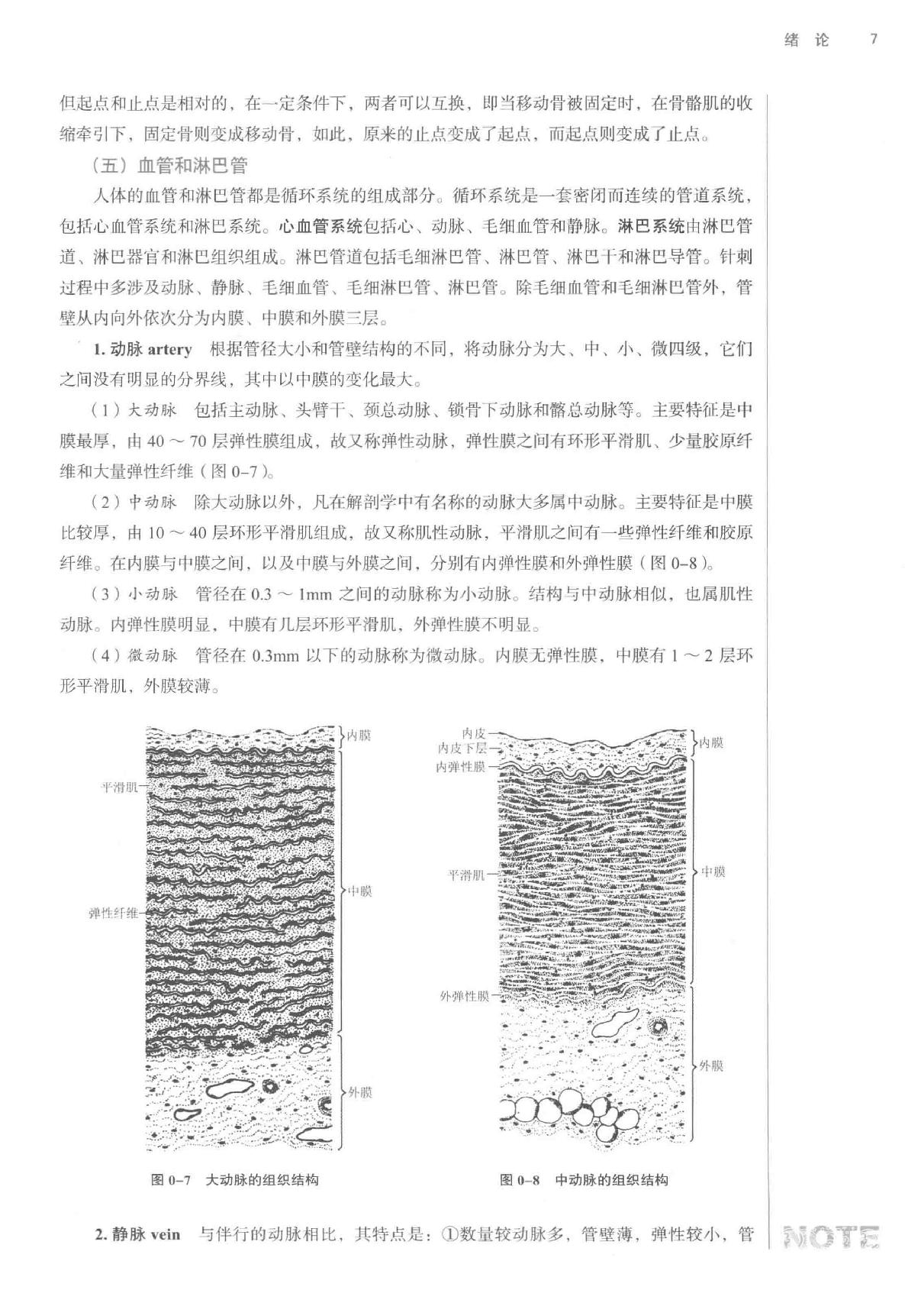 腧穴解剖学.pdf_第18页