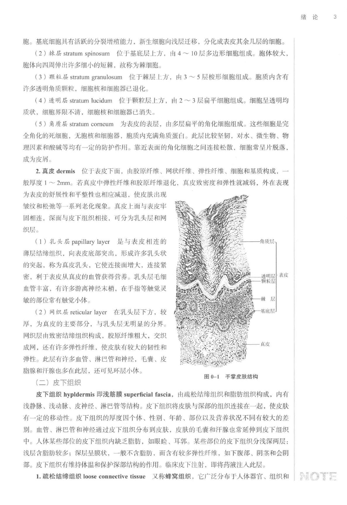 腧穴解剖学.pdf_第14页