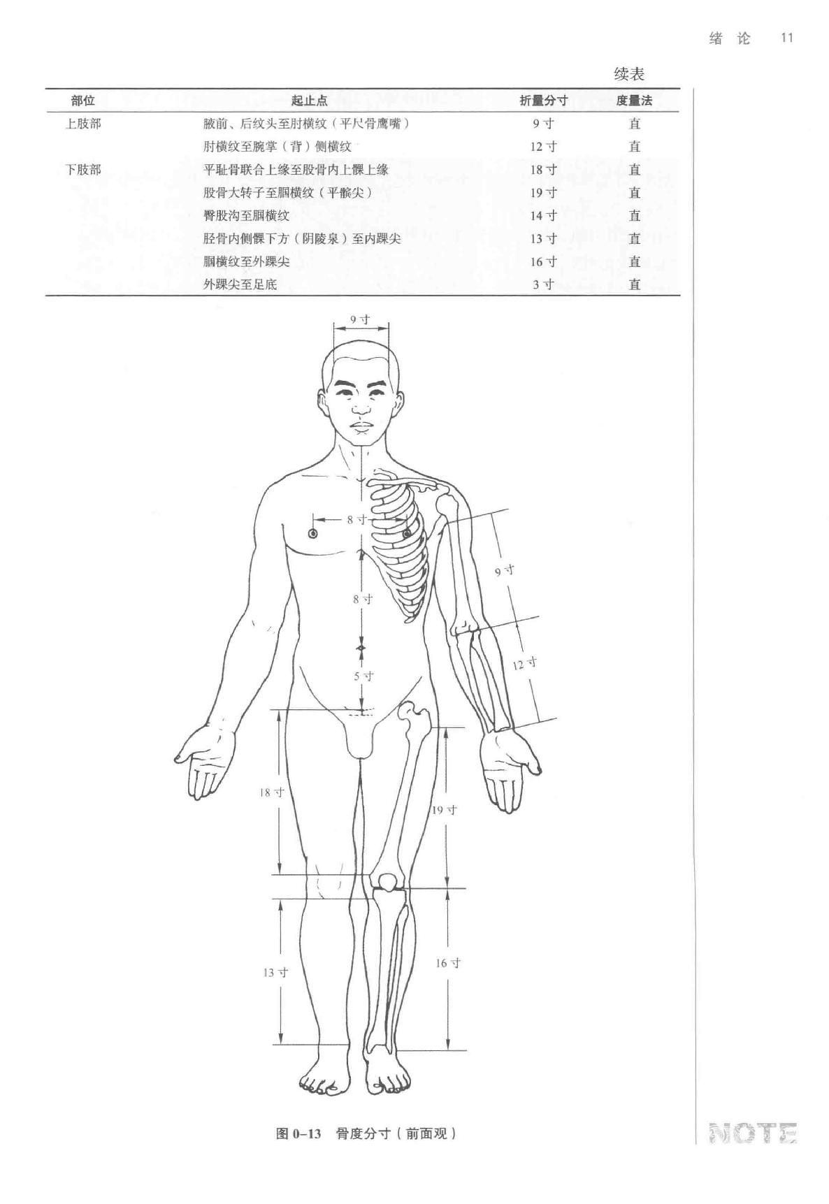 腧穴解剖学.pdf_第22页