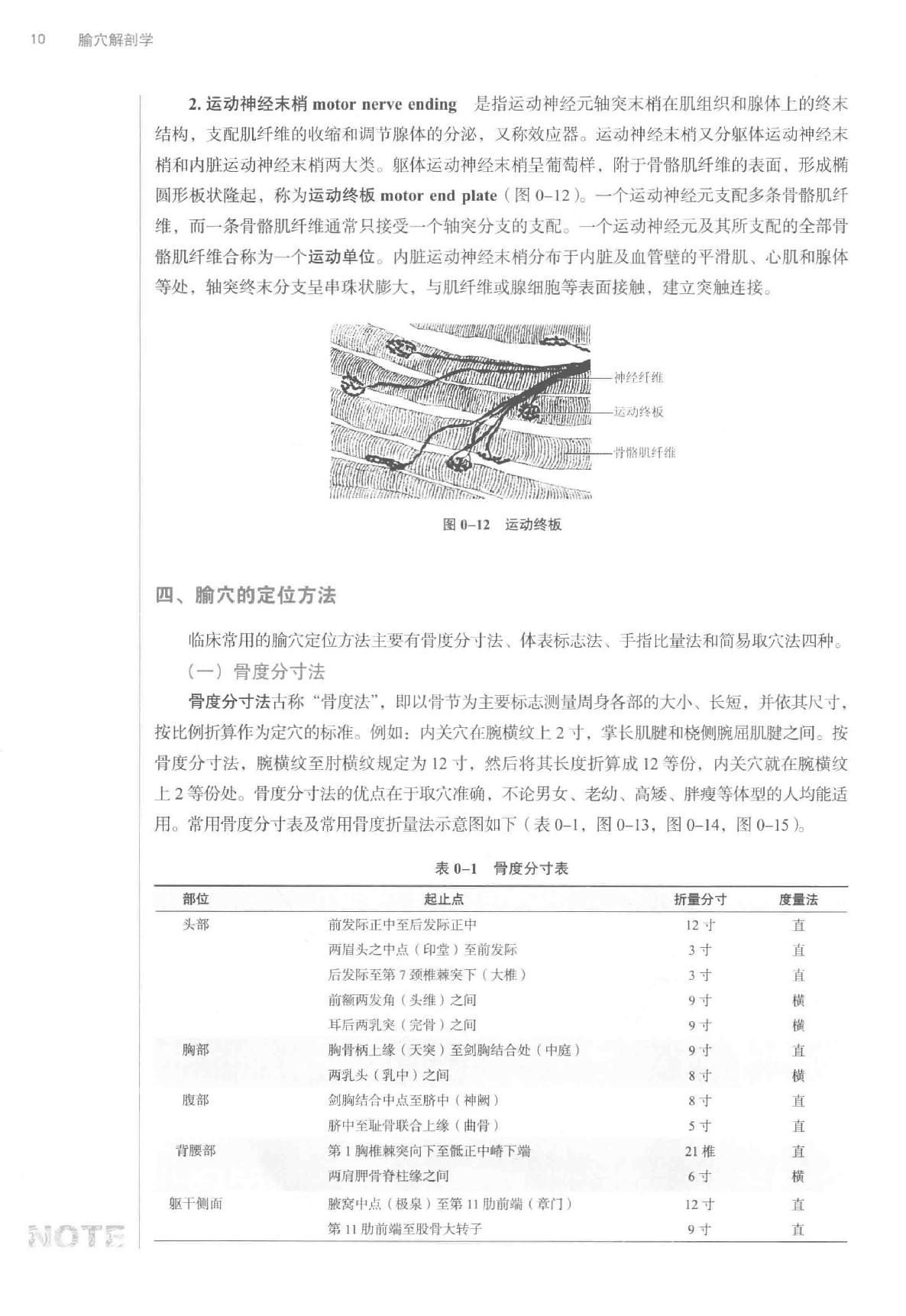 腧穴解剖学.pdf_第21页