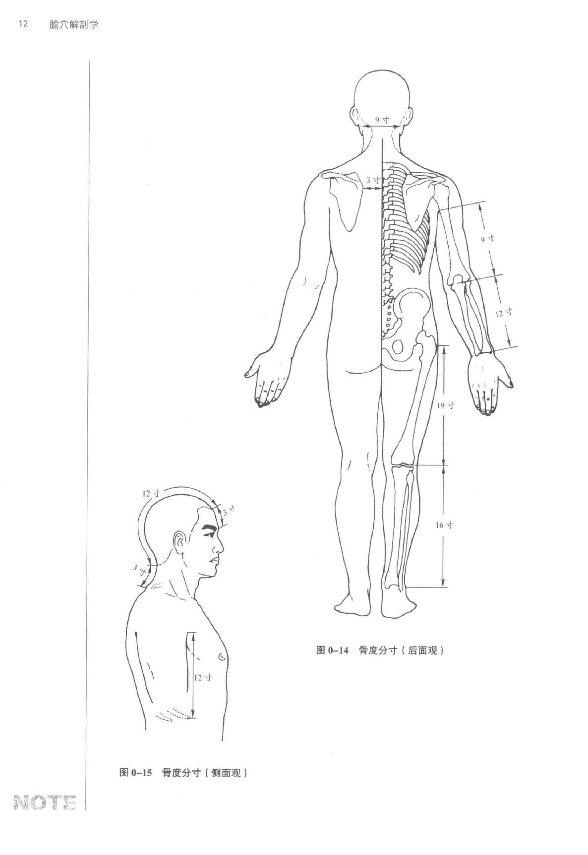 腧穴解剖学.pdf_第23页