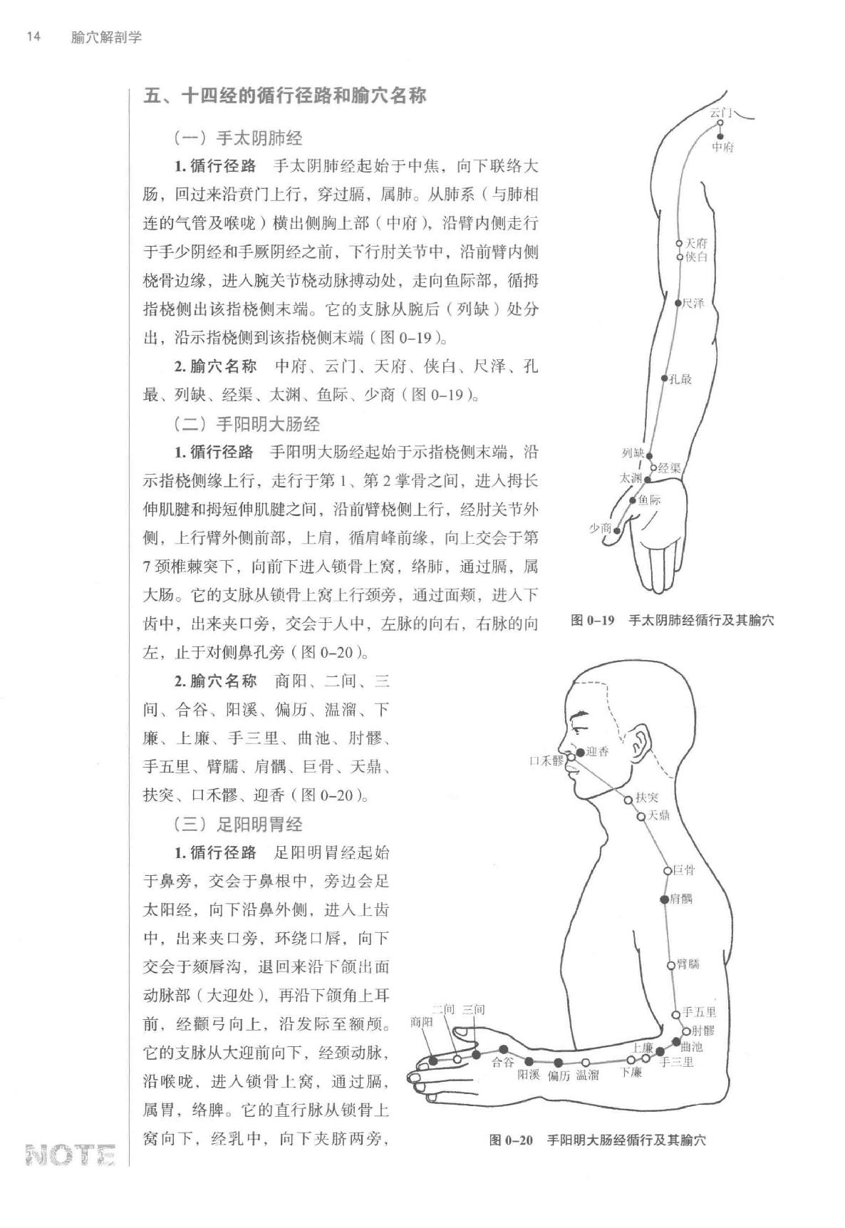 腧穴解剖学.pdf_第25页