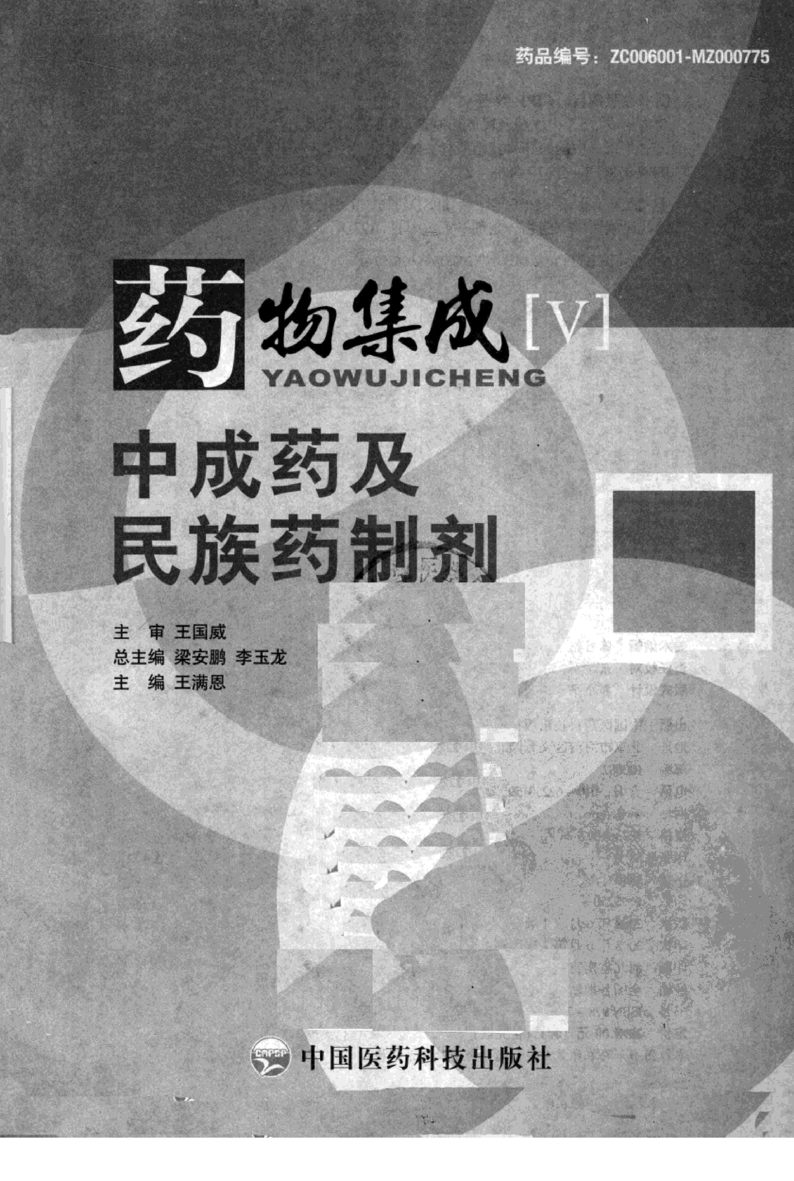 药物集成【V】中成药及民族药制剂 梁安鹏.李玉龙.扫描版.pdf_第3页