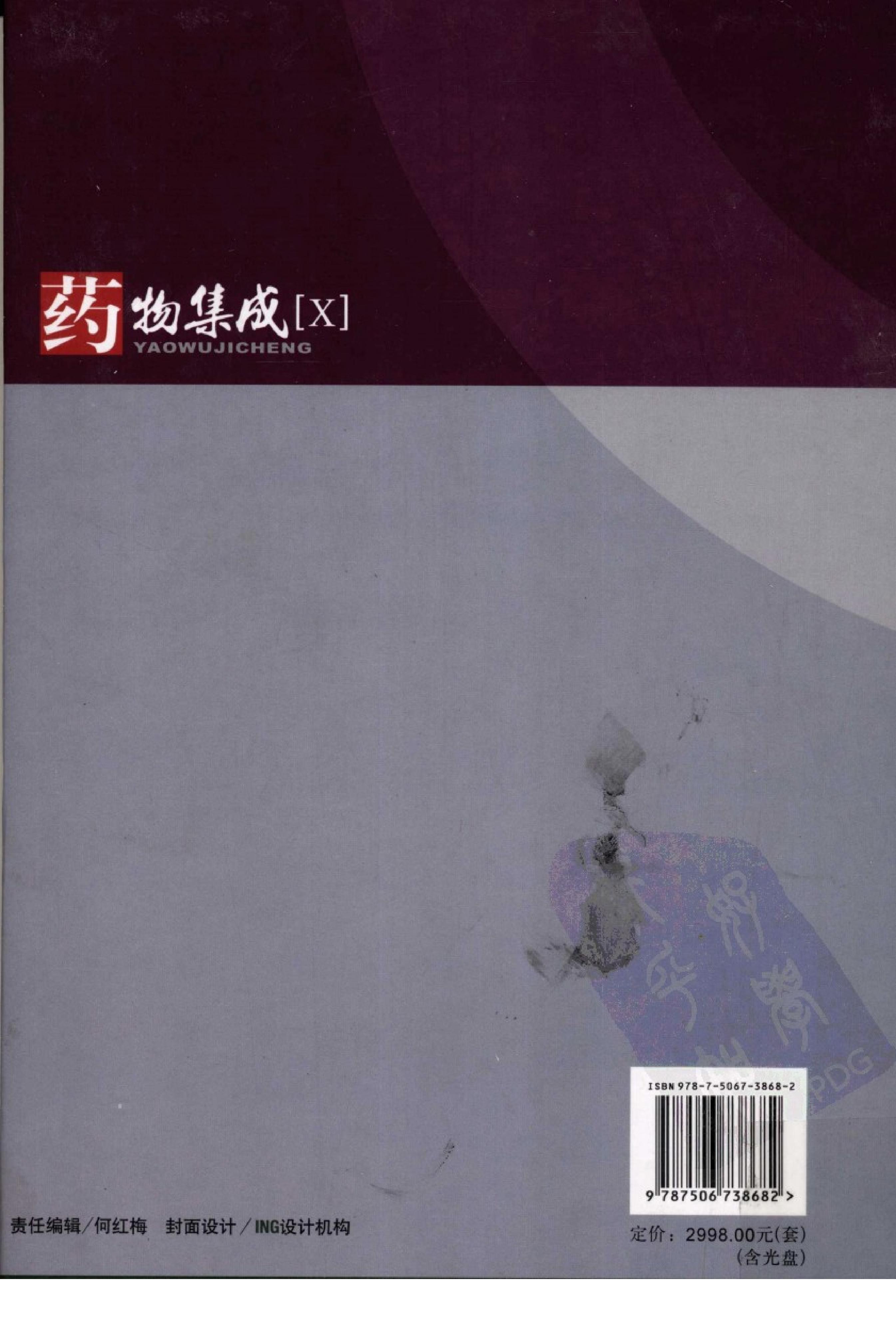 药物集成【X】化学药制剂及生物制品 梁安鹏.李玉龙.扫描版.pdf_第2页