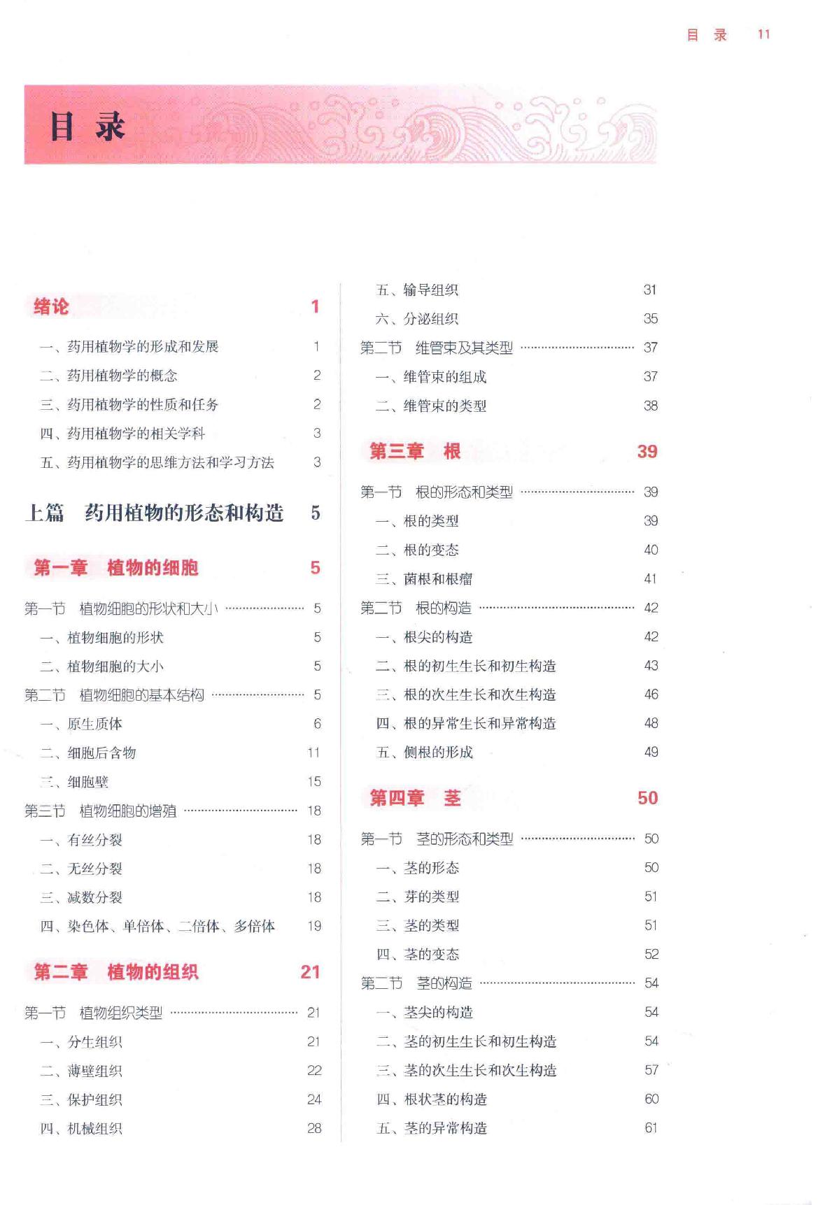 药用植物学  第4版.pdf_第11页