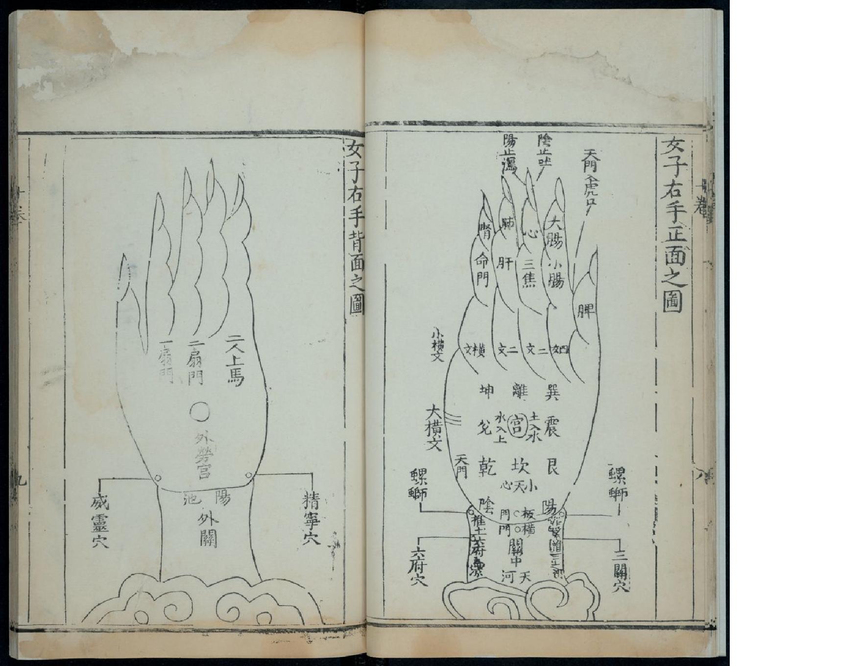 针灸大成15.pdf_第13页