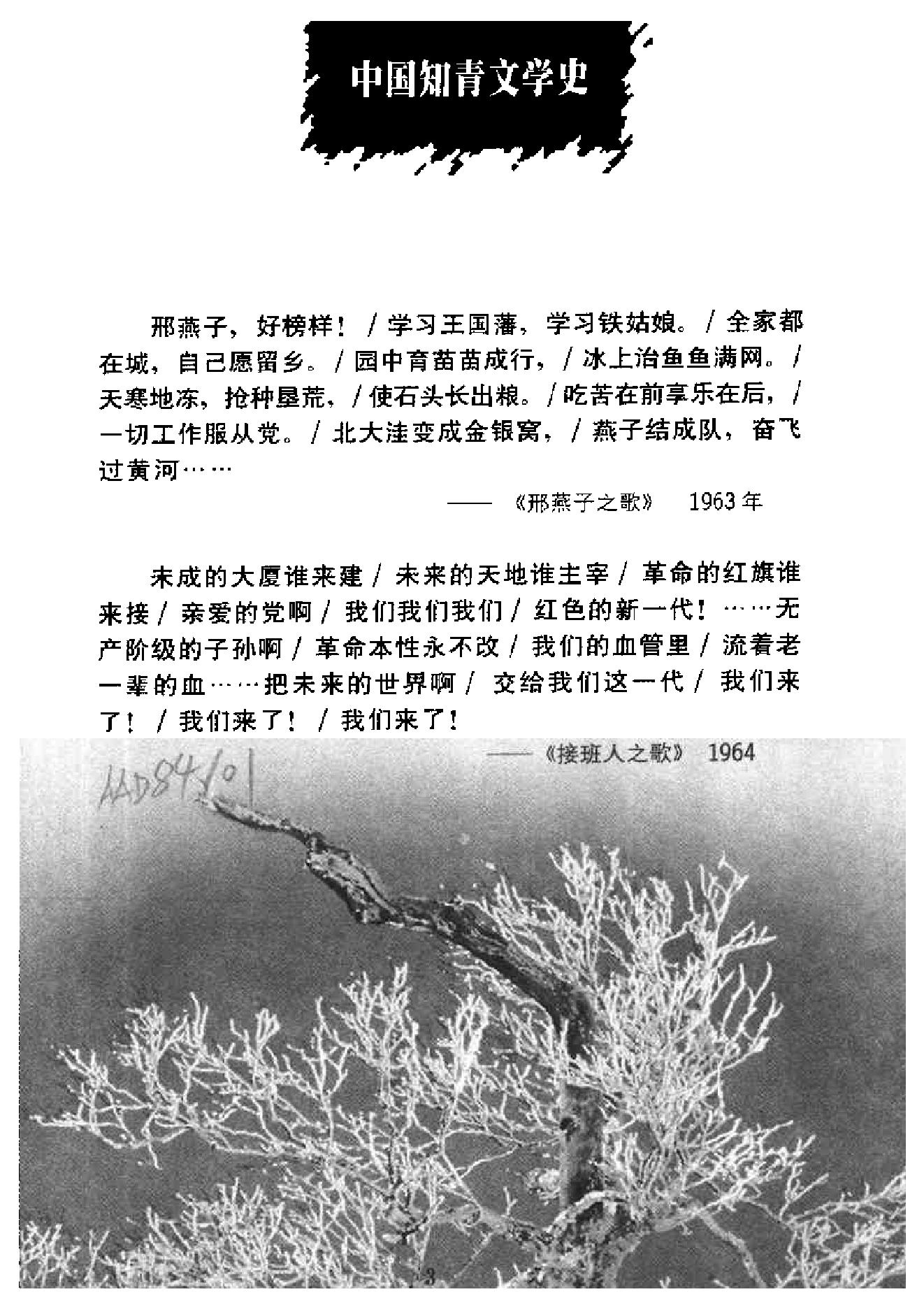 [中国知青文学史].刘卫华&.张欣武.扫描版.pdf_第3页