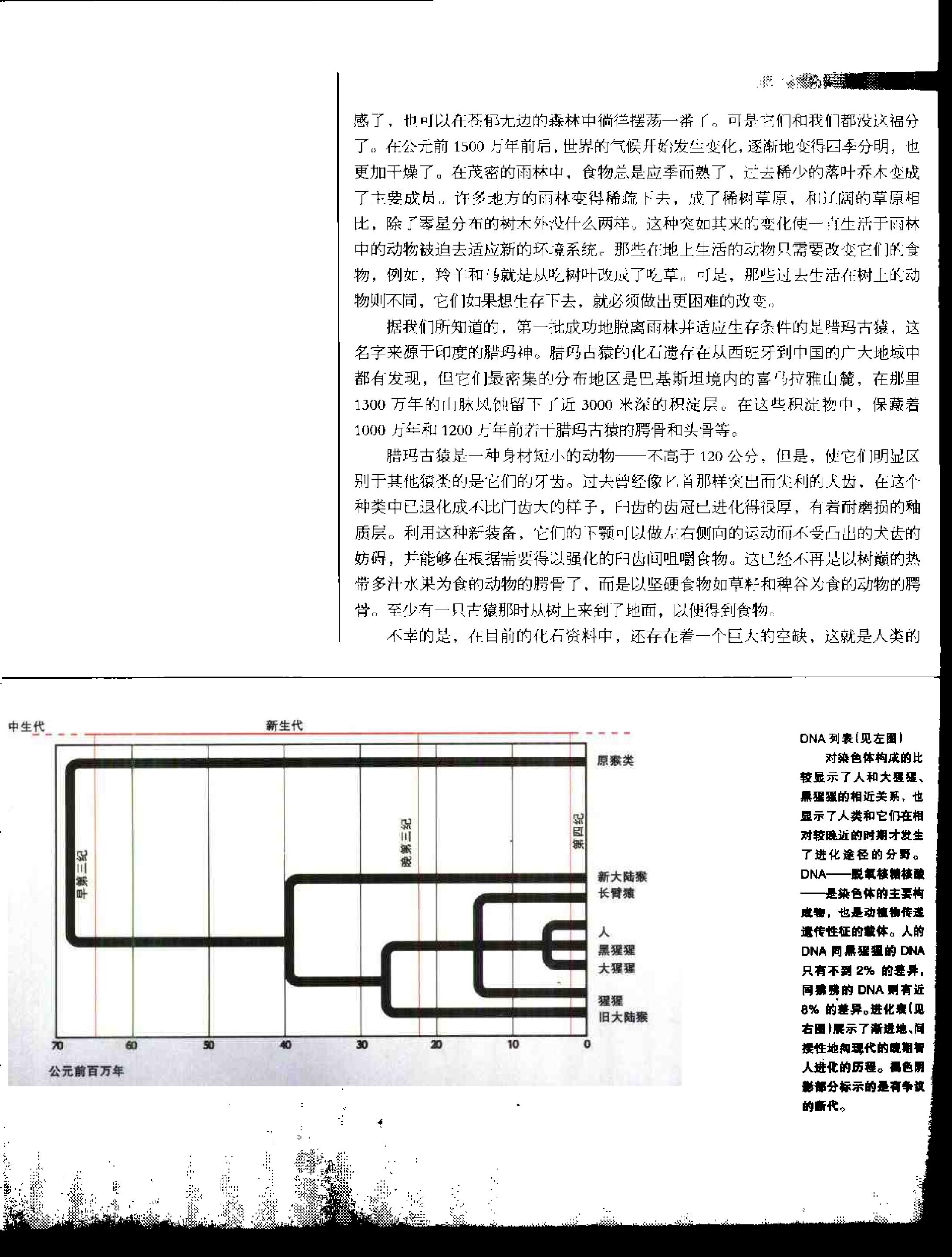 [人类文明史图鉴：人类的黎明].时代生活出版公司.扫描版.pdf_第23页