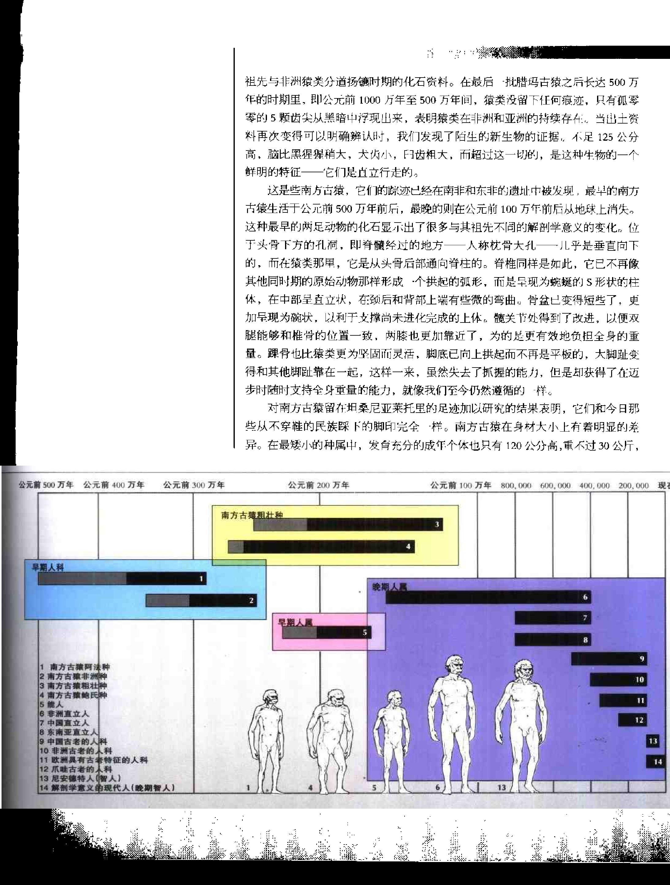 [人类文明史图鉴：人类的黎明].时代生活出版公司.扫描版.pdf_第24页