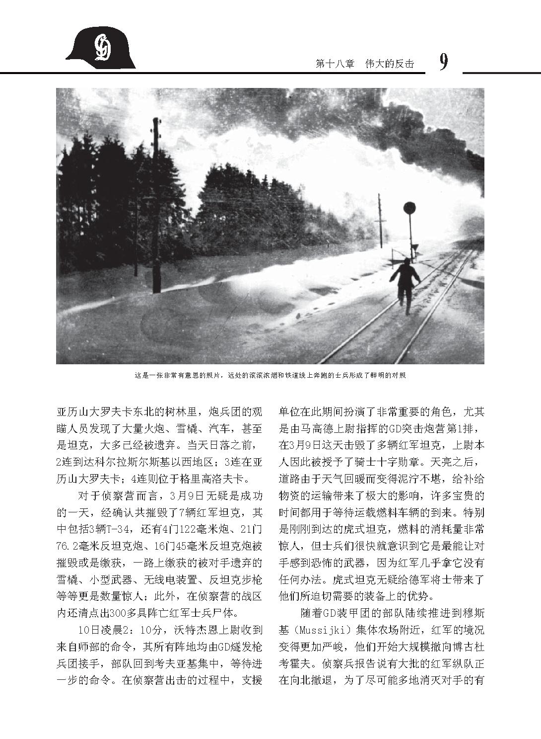 [德军王牌：大德意志师(下)].马文俊-周明.扫描版.pdf_第11页