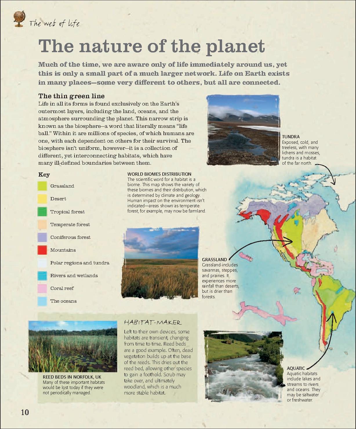 [认识大自然].(The.Practical.Naturalist),.Packham,.文字版.pdf_第12页