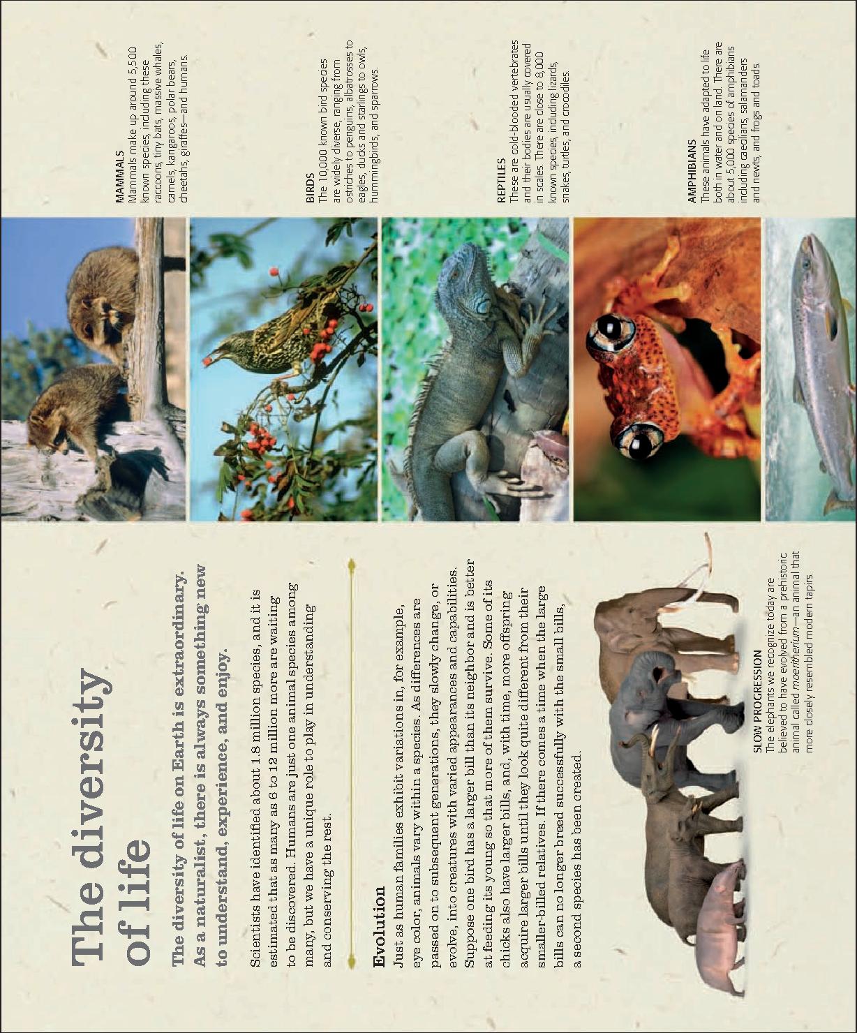 [认识大自然].(The.Practical.Naturalist),.Packham,.文字版.pdf_第14页