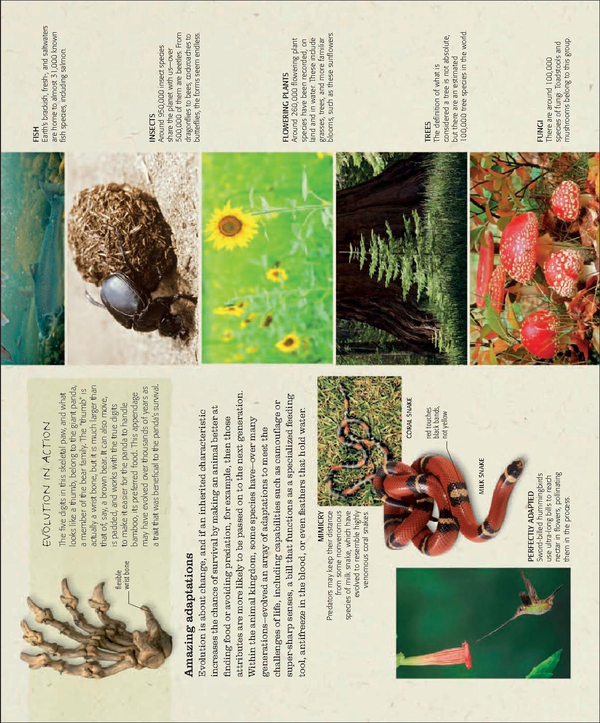 [认识大自然].(The.Practical.Naturalist),.Packham,.文字版.pdf_第15页