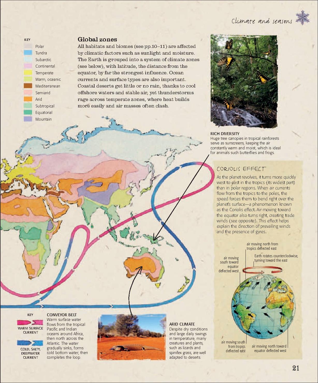 [认识大自然].(The.Practical.Naturalist),.Packham,.文字版.pdf_第23页