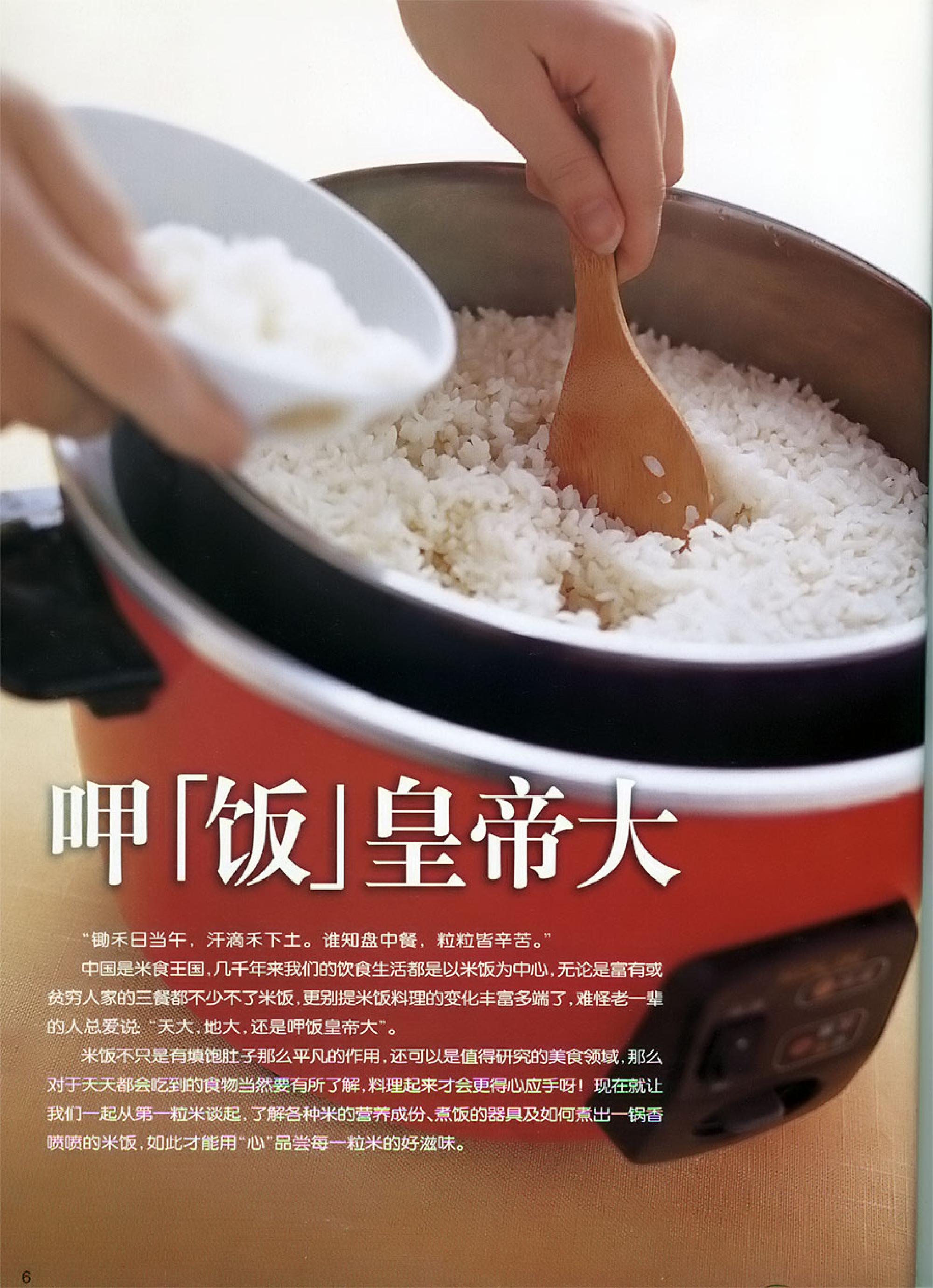 世界炒饭烩饭大全(菜谱)(食谱)35种五彩缤纷的料理游戏.pdf_第7页