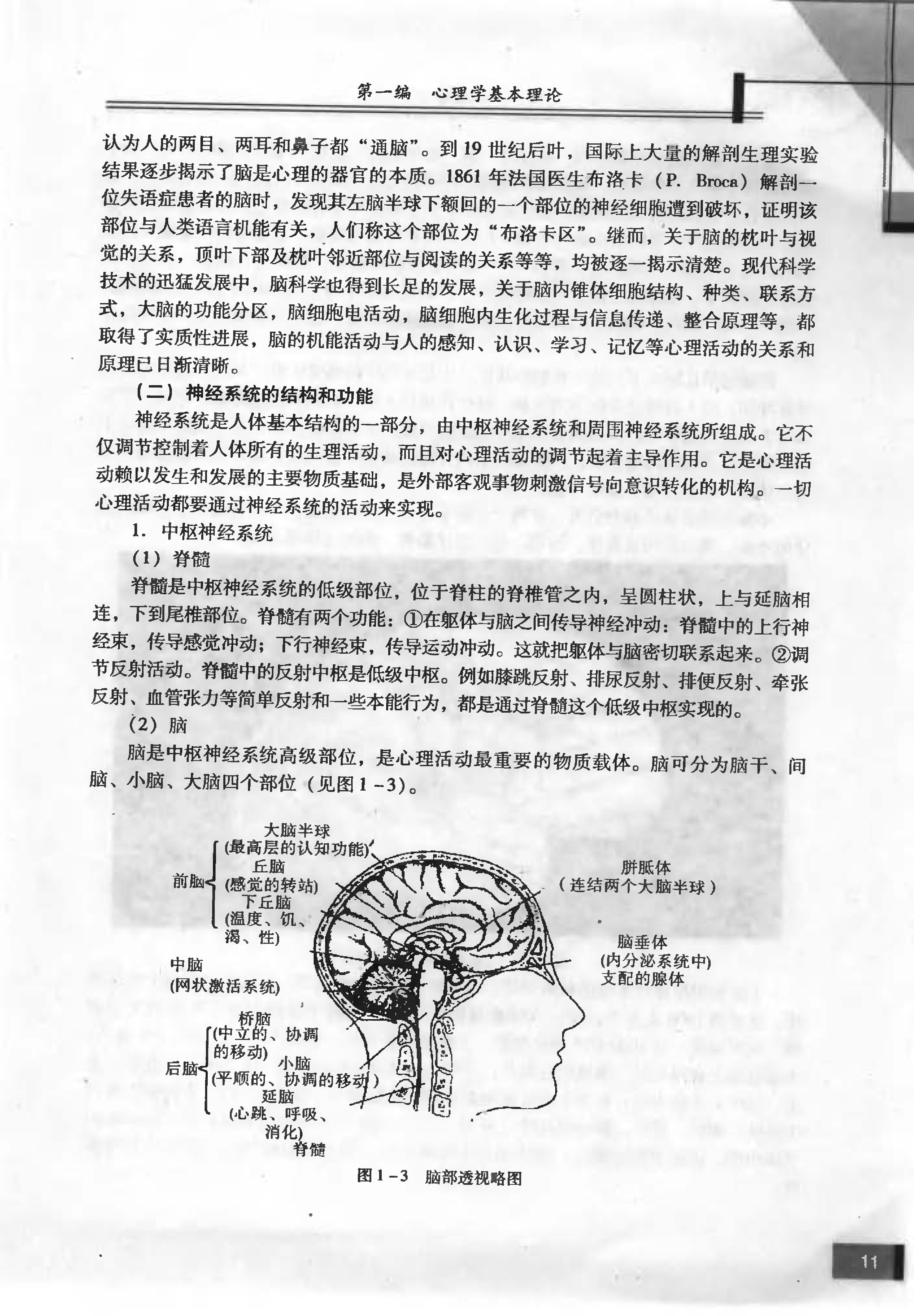 心理学 姬建峰 2006.pdf_第19页