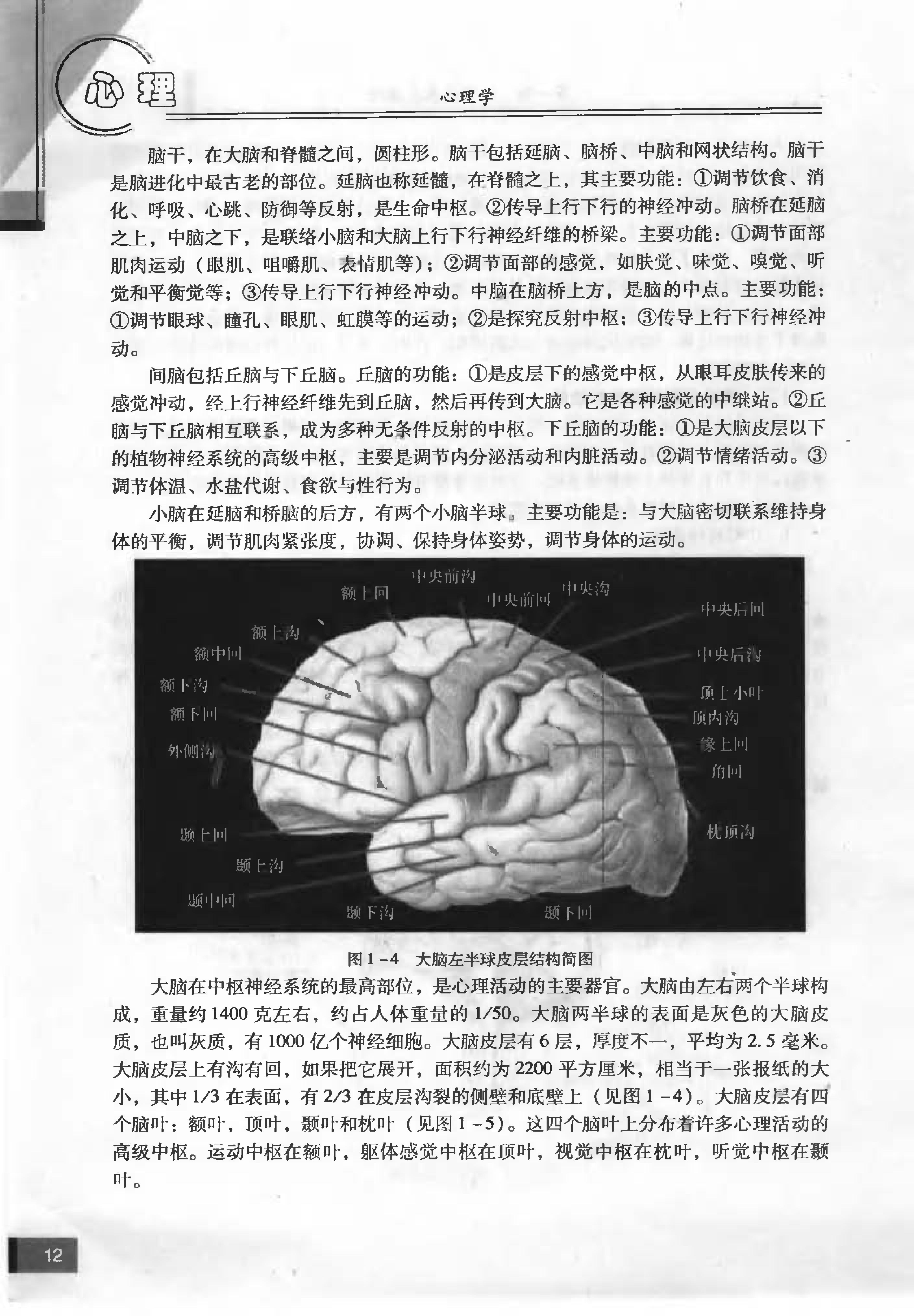 心理学 姬建峰 2006.pdf_第20页