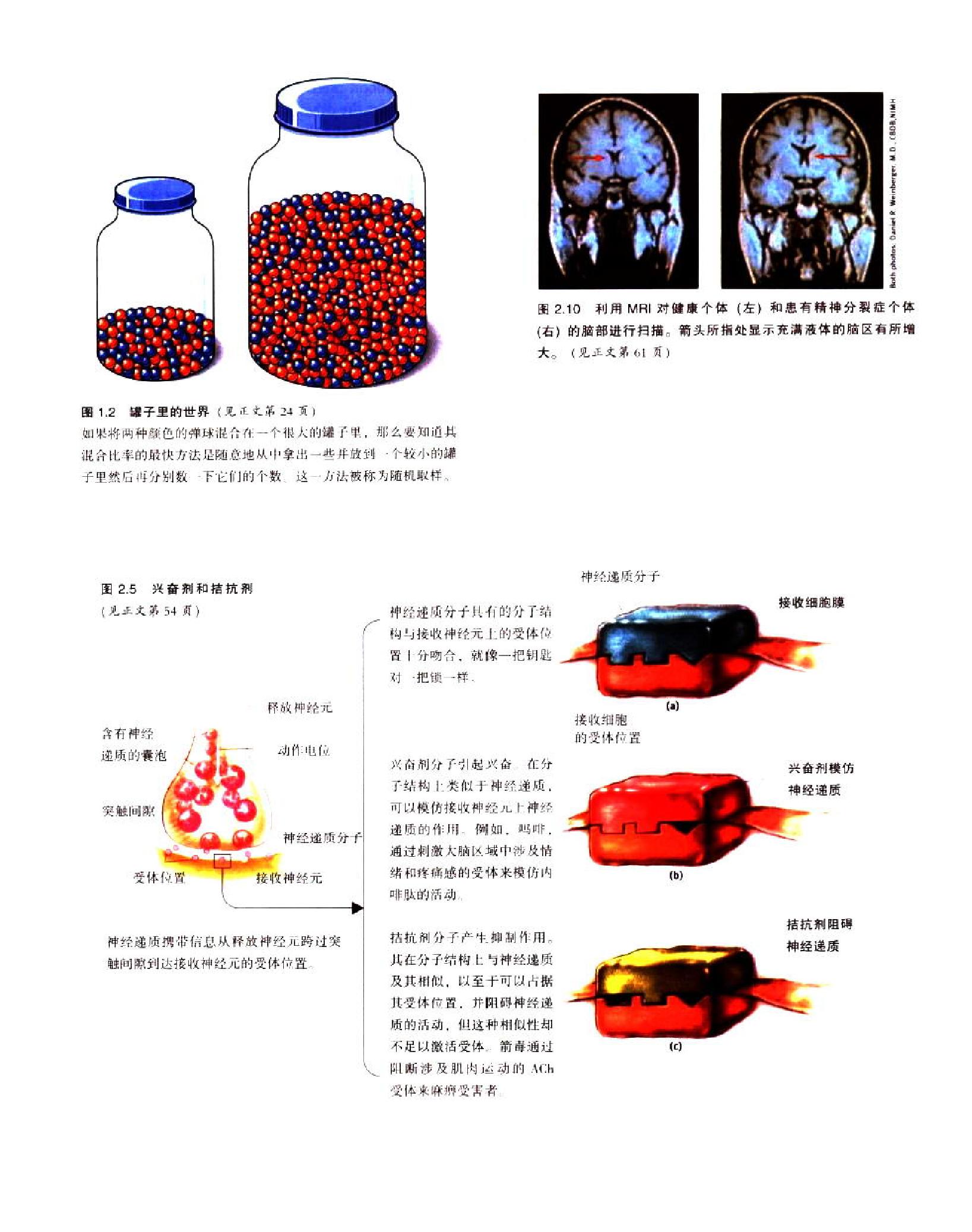 心理学(第7版，戴维·G·迈尔斯).pdf_第5页