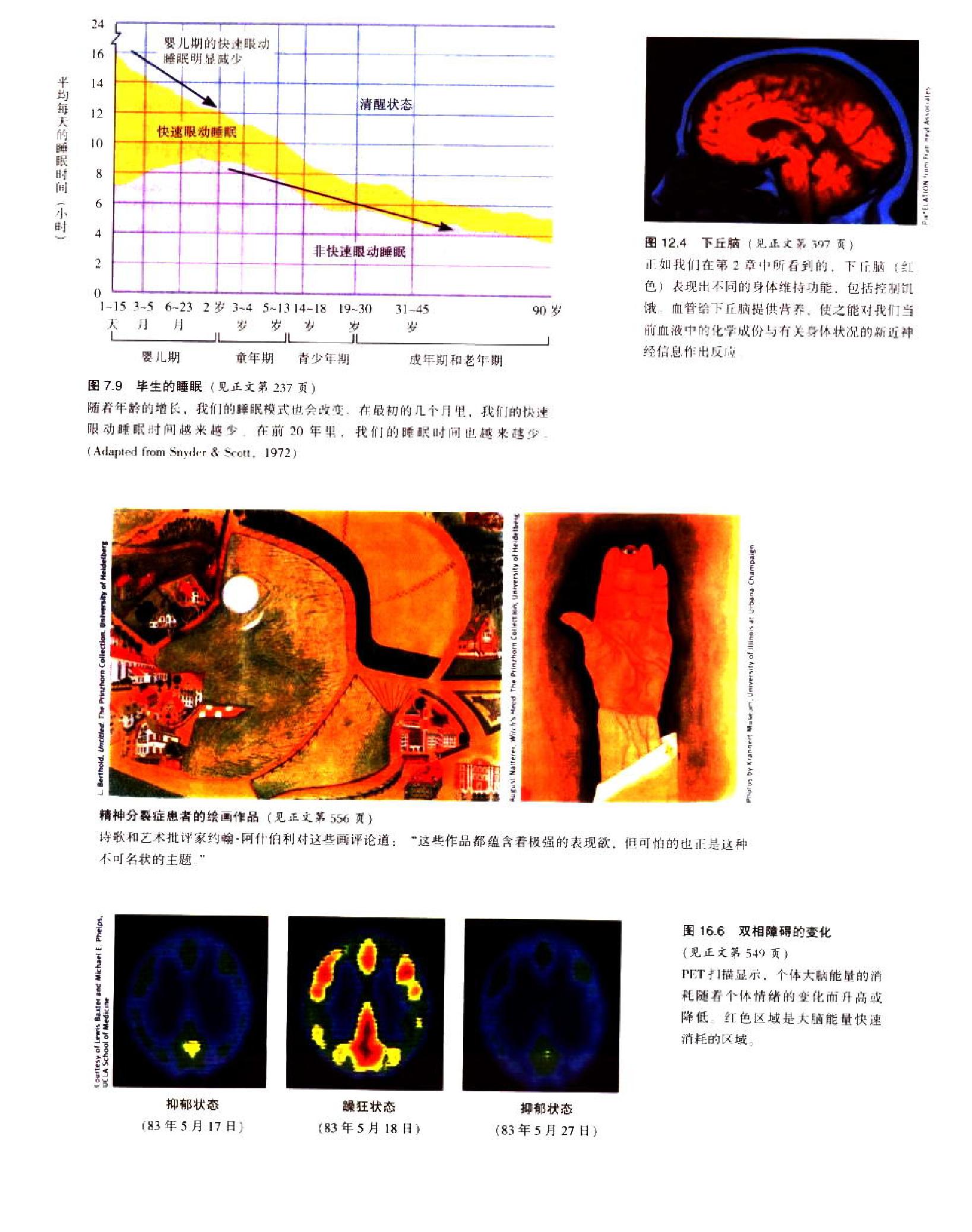 心理学(第7版，戴维·G·迈尔斯).pdf_第11页