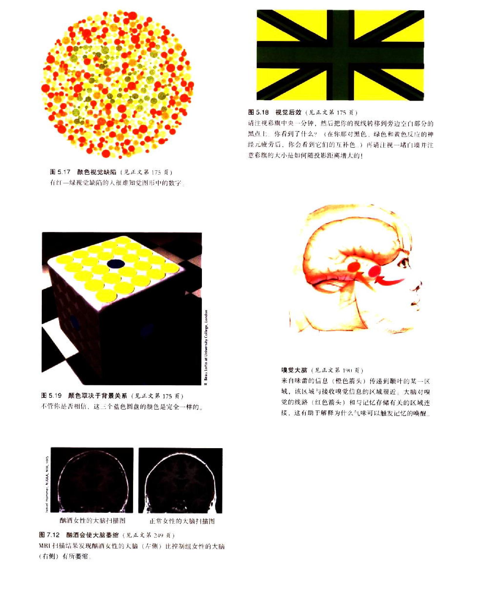 心理学(第7版，戴维·G·迈尔斯).pdf_第10页