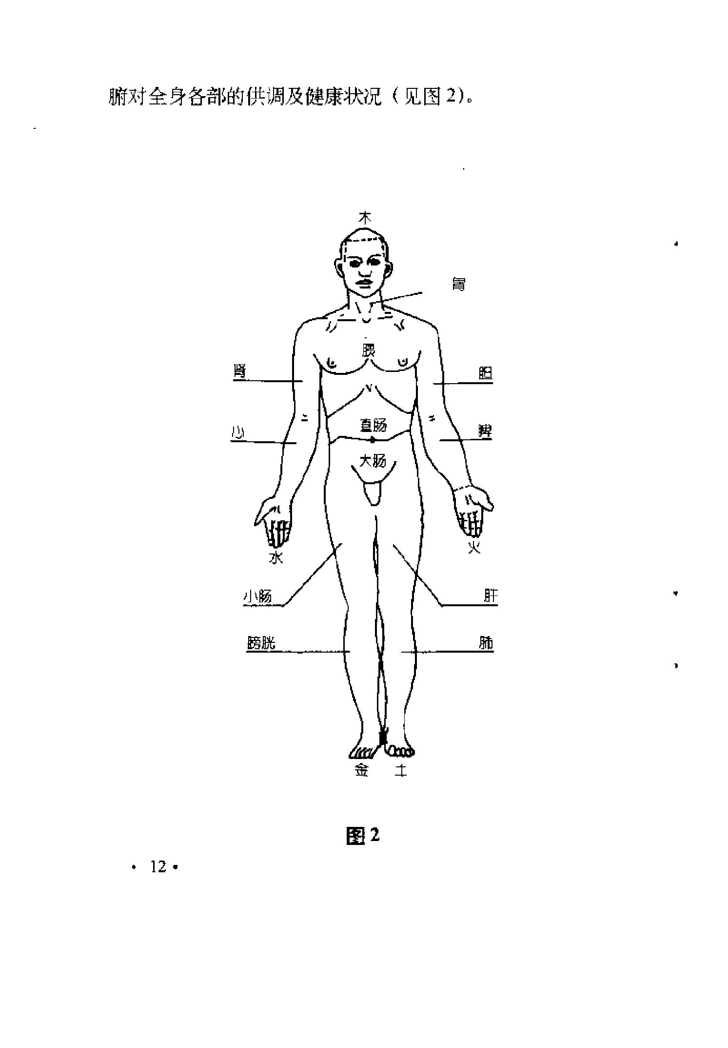 [医学手相].泽龙.扫描版.pdf_第19页