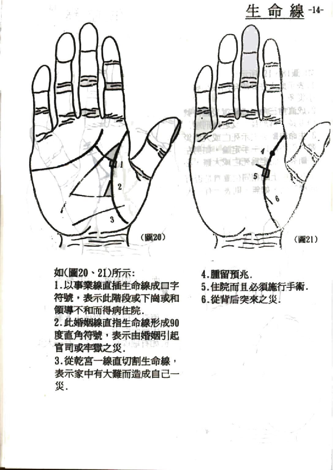 传统手相绝学-陈鼎龙清晰版.pdf_第15页