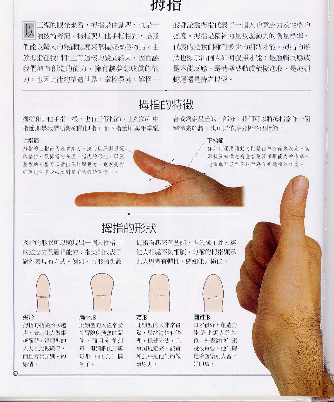 手相-学习百科.pdf_第20页