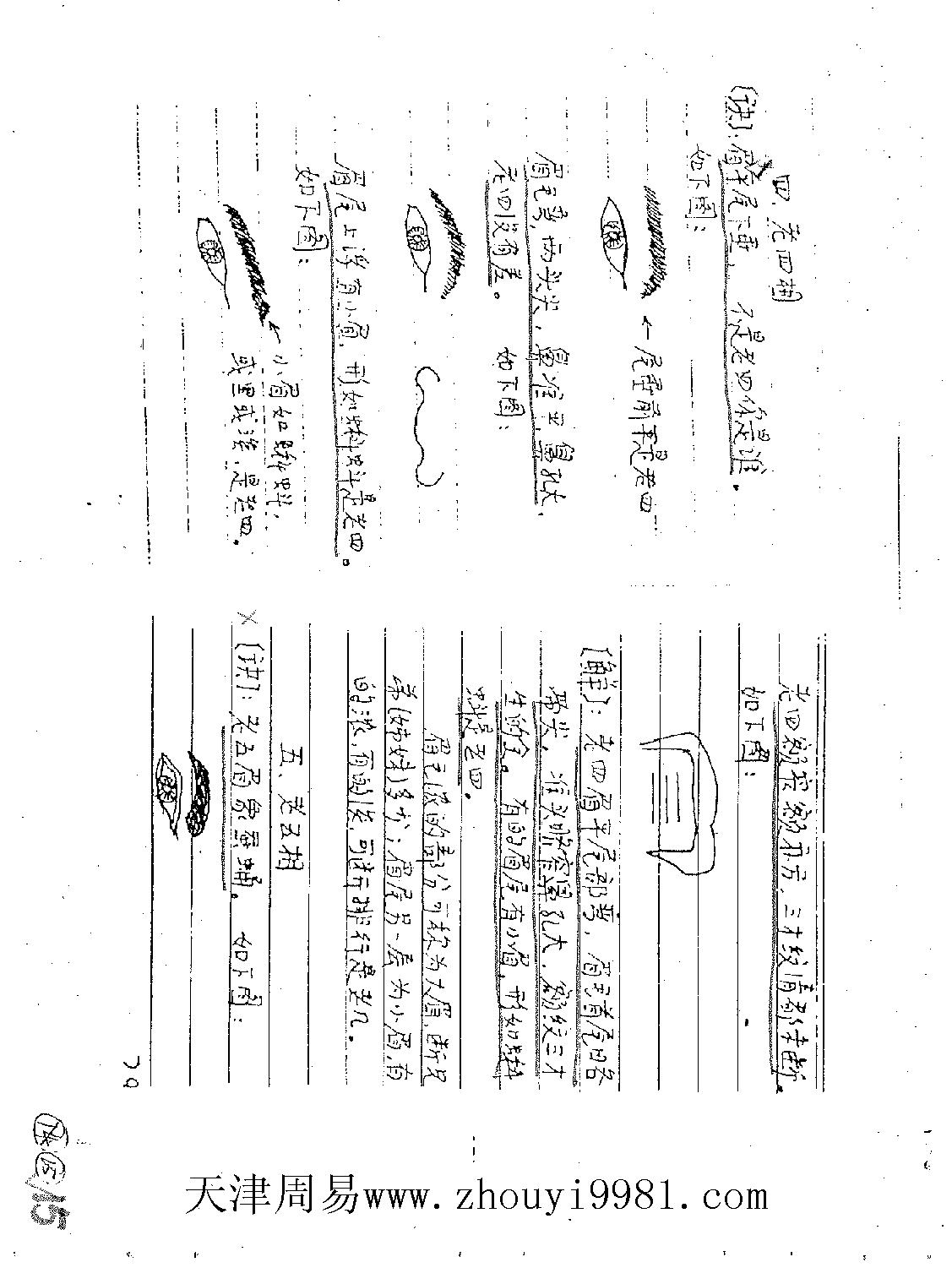 民间相法真诀(手抄家传秘本).pdf_第18页