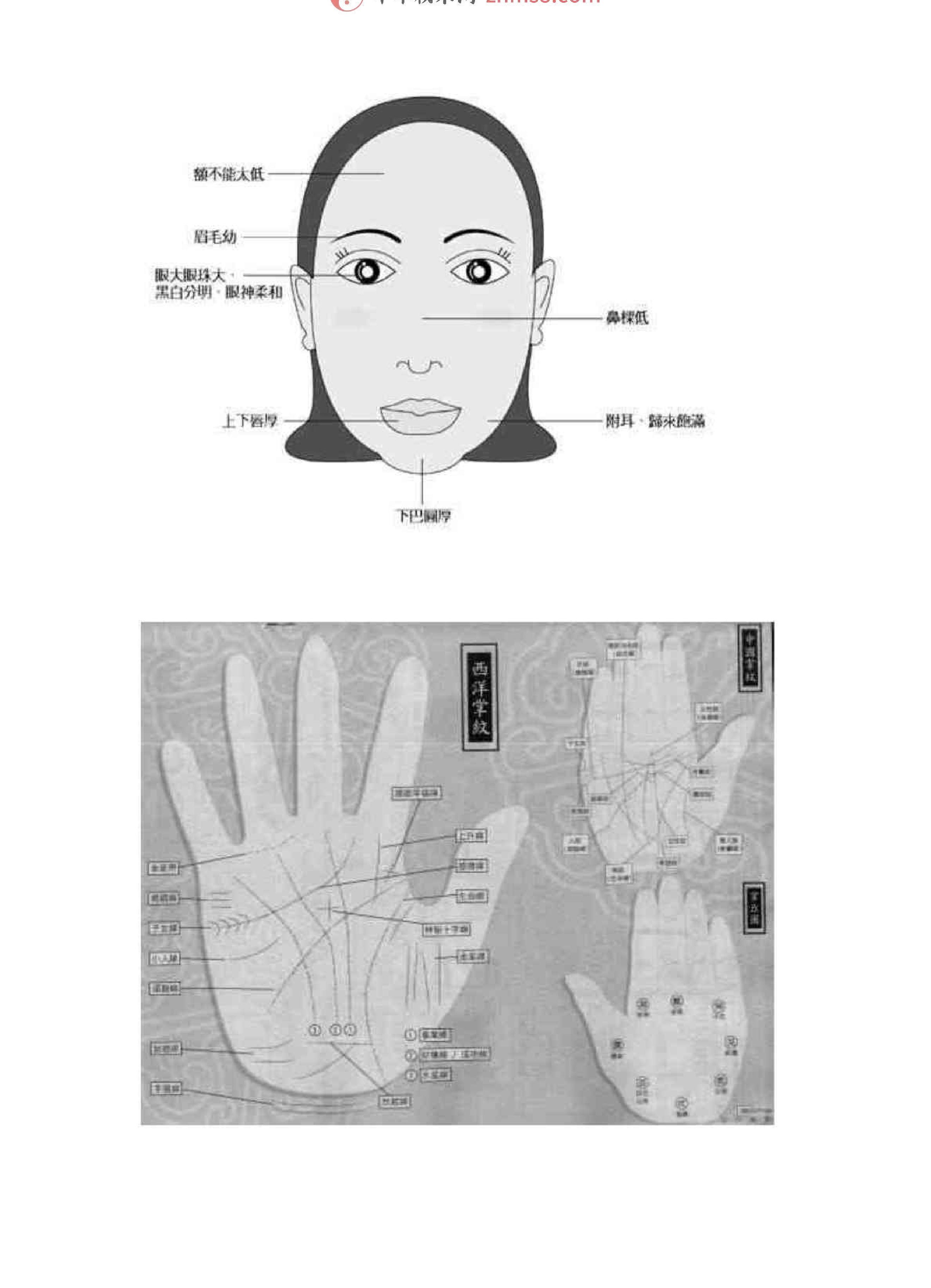 相学图解-苏民峰.pdf_第10页