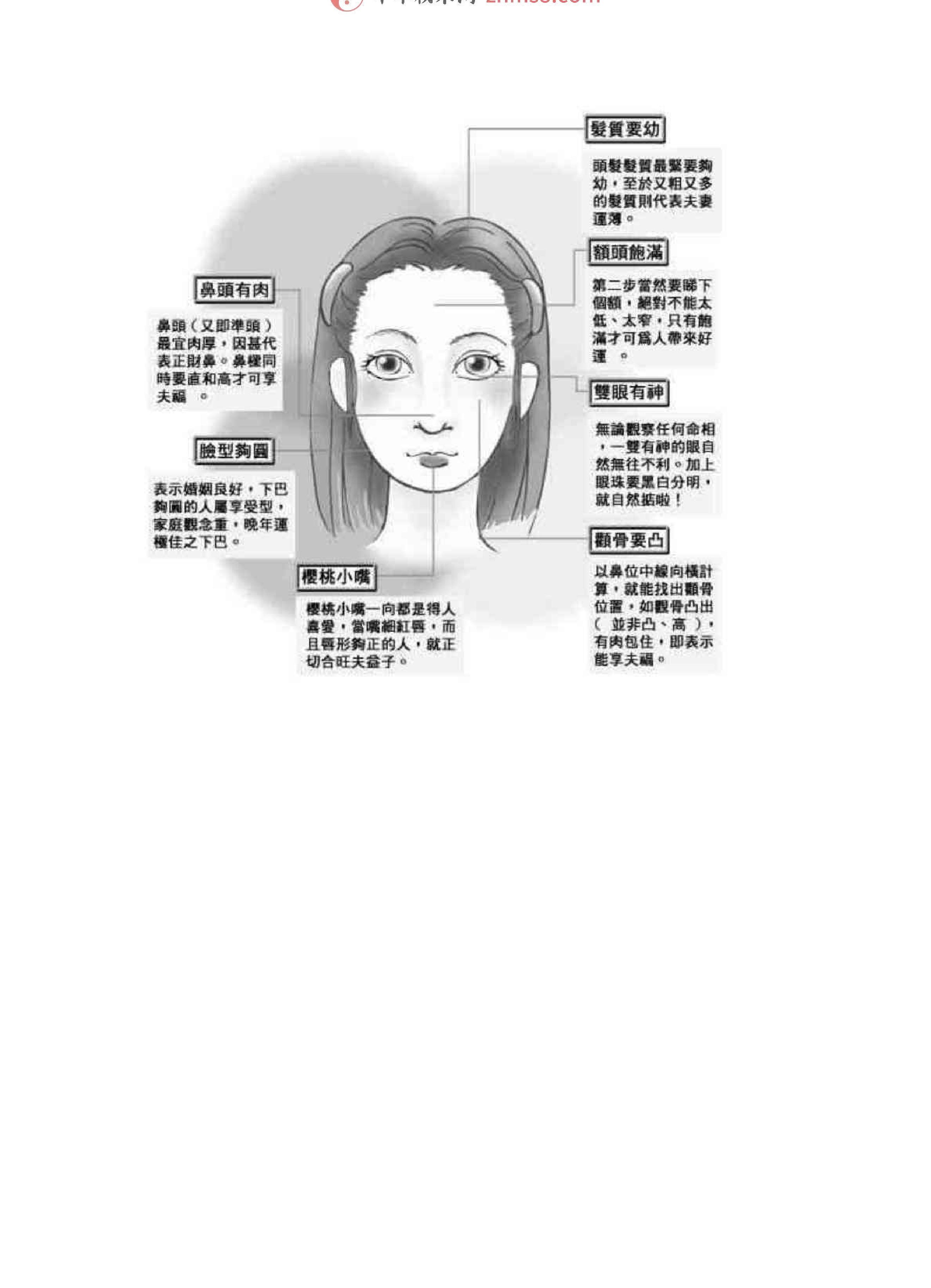 相学图解-苏民峰.pdf_第13页