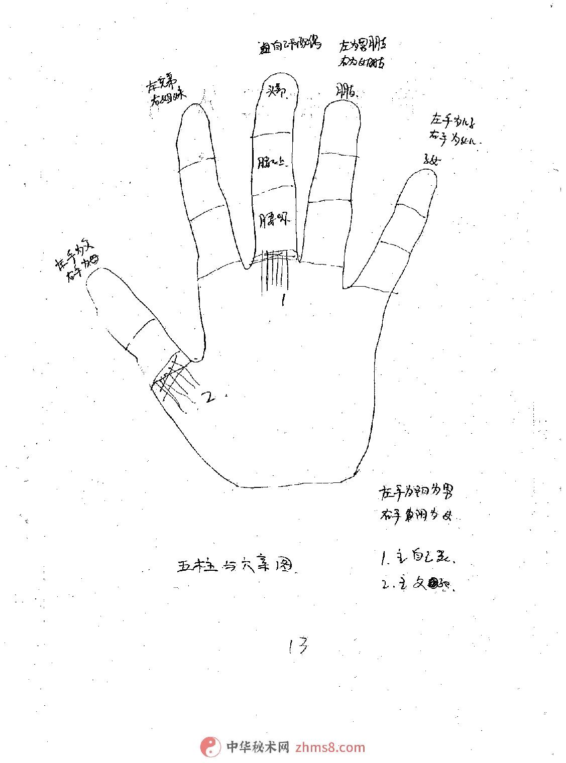 骆驼相法(盛书笙).pdf_第14页