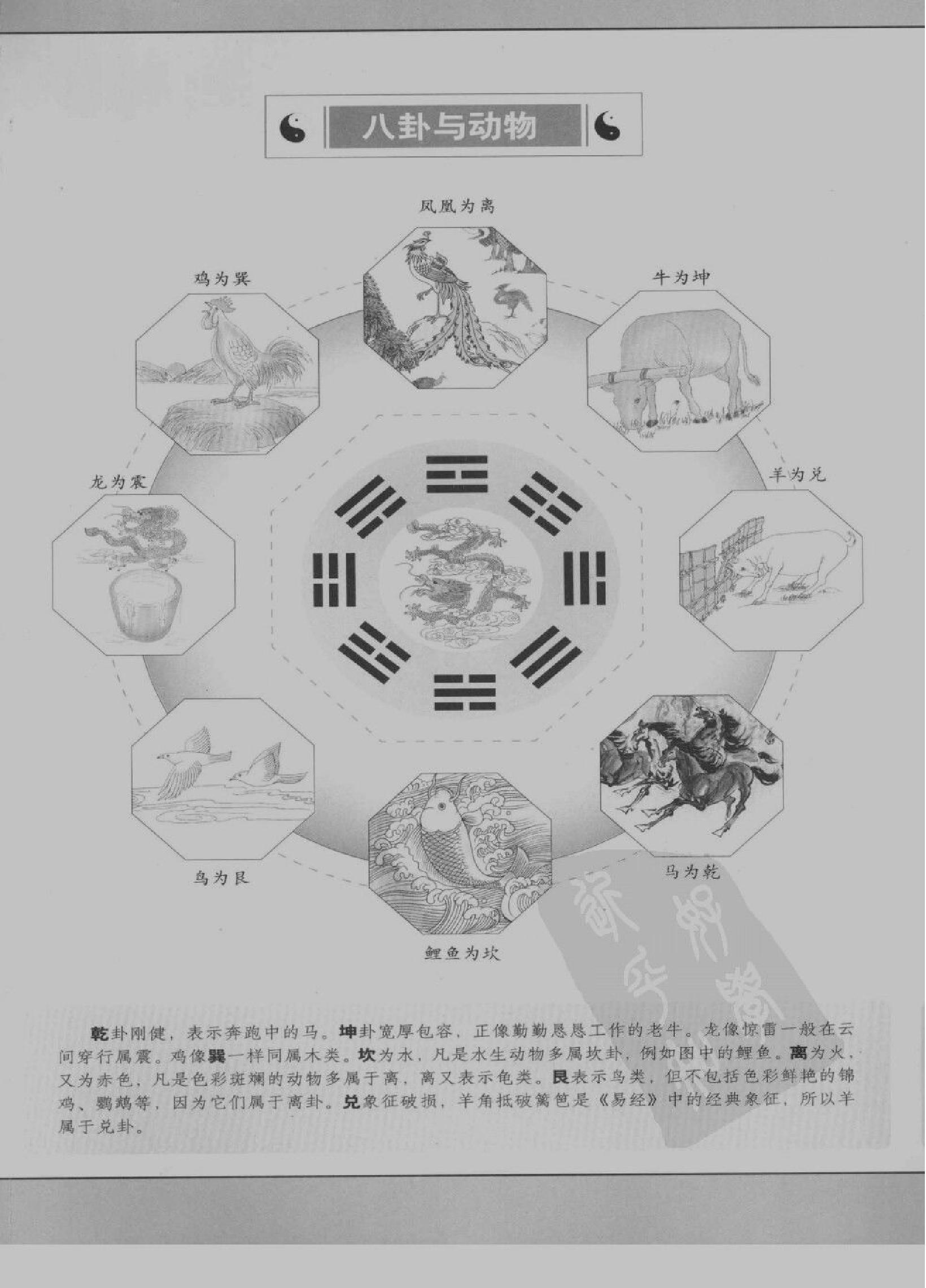 [图解梅花易数：破解天地玄秘的大智慧].汤....pdf_第6页