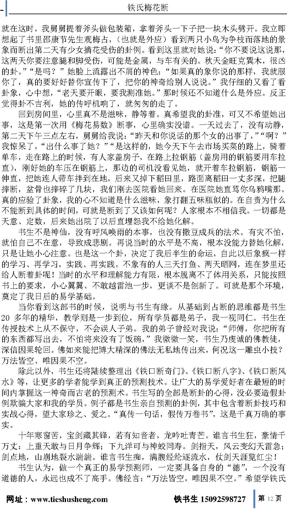 铁氏梅花断-上卷.pdf_第12页