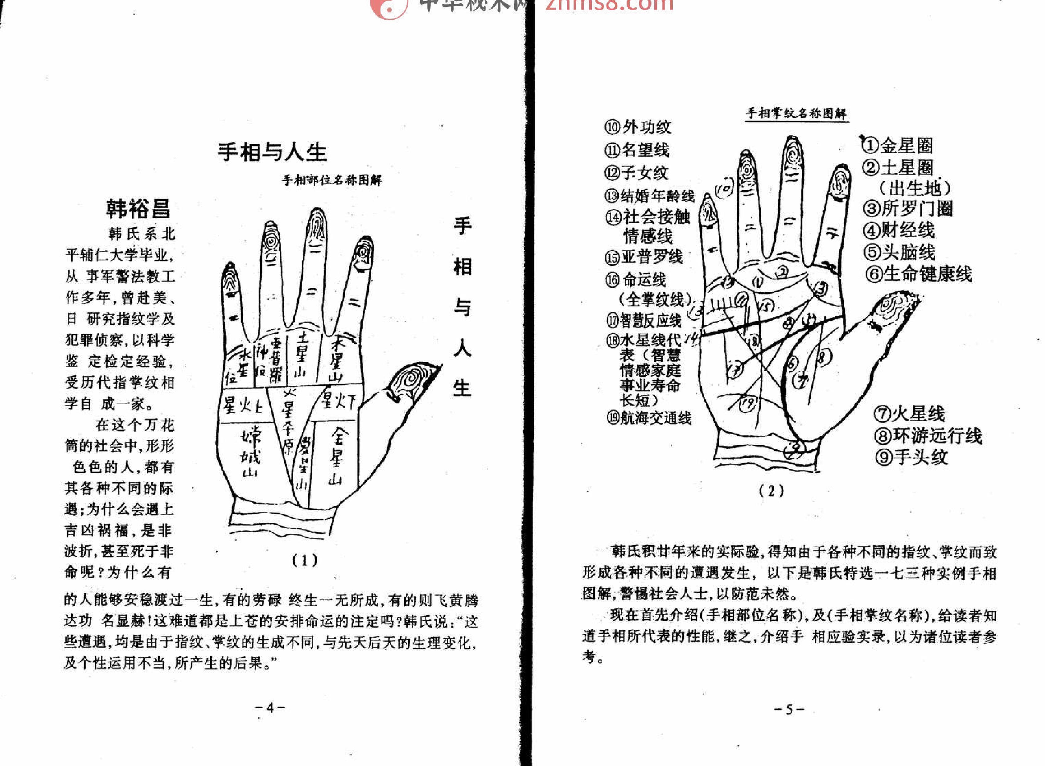 陈鼎龙 手相百六种.pdf_第8页