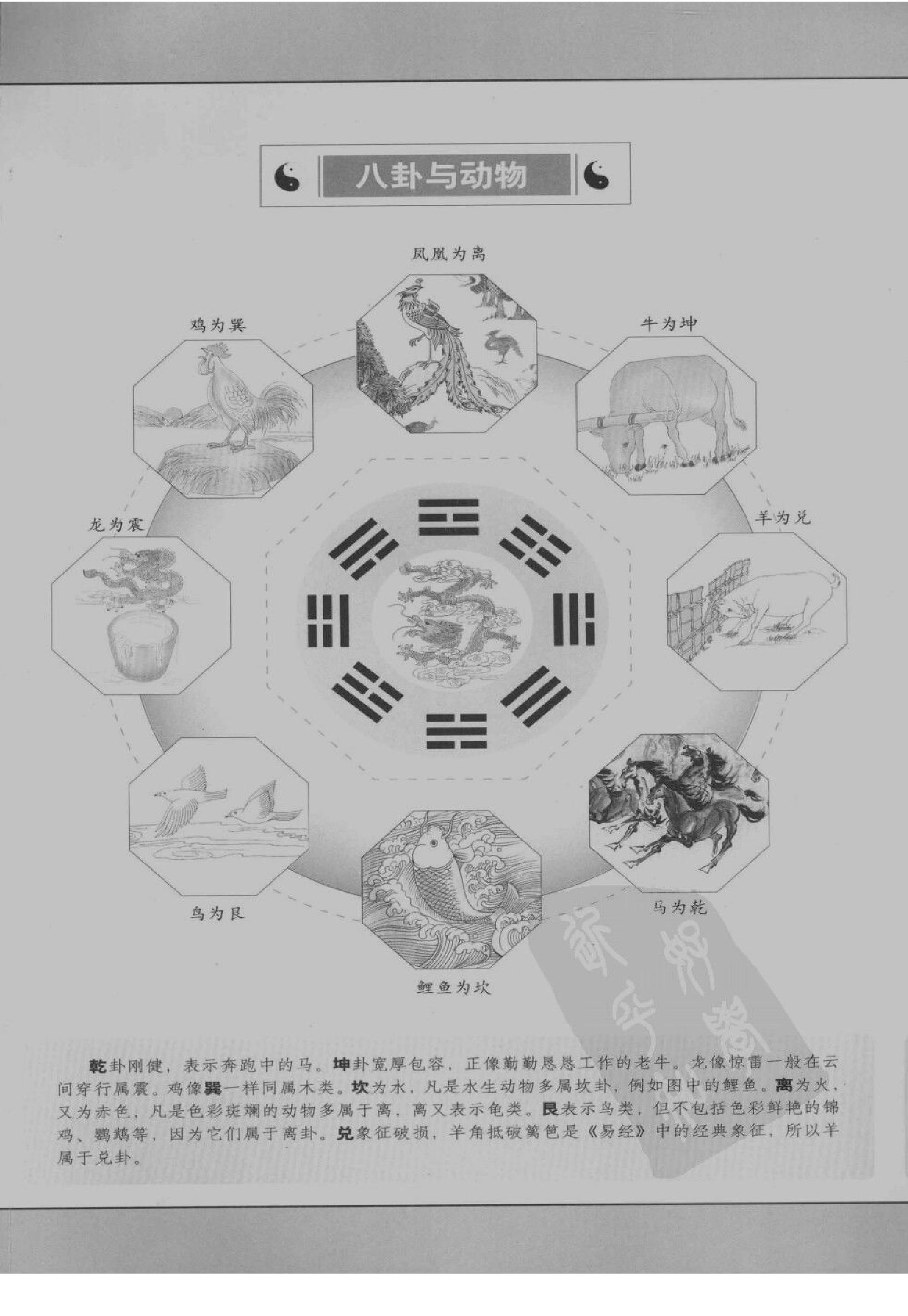 图解梅花易数_破解天地玄秘的大智慧_汤行易.pdf_第5页