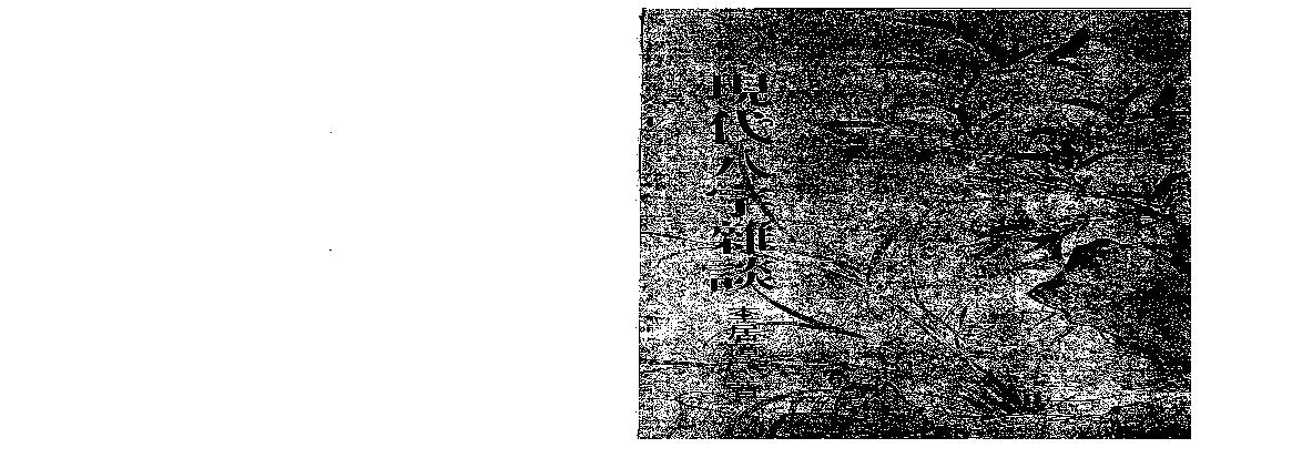 李居璋-现代八字杂谈.pdf(4.62MB_166页)