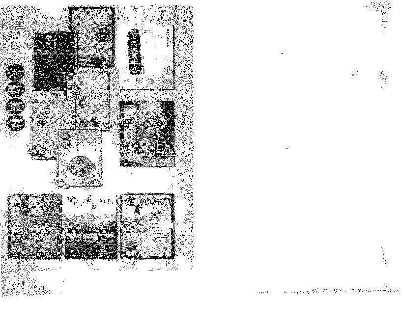 点算八字寿夭.pdf_第2页